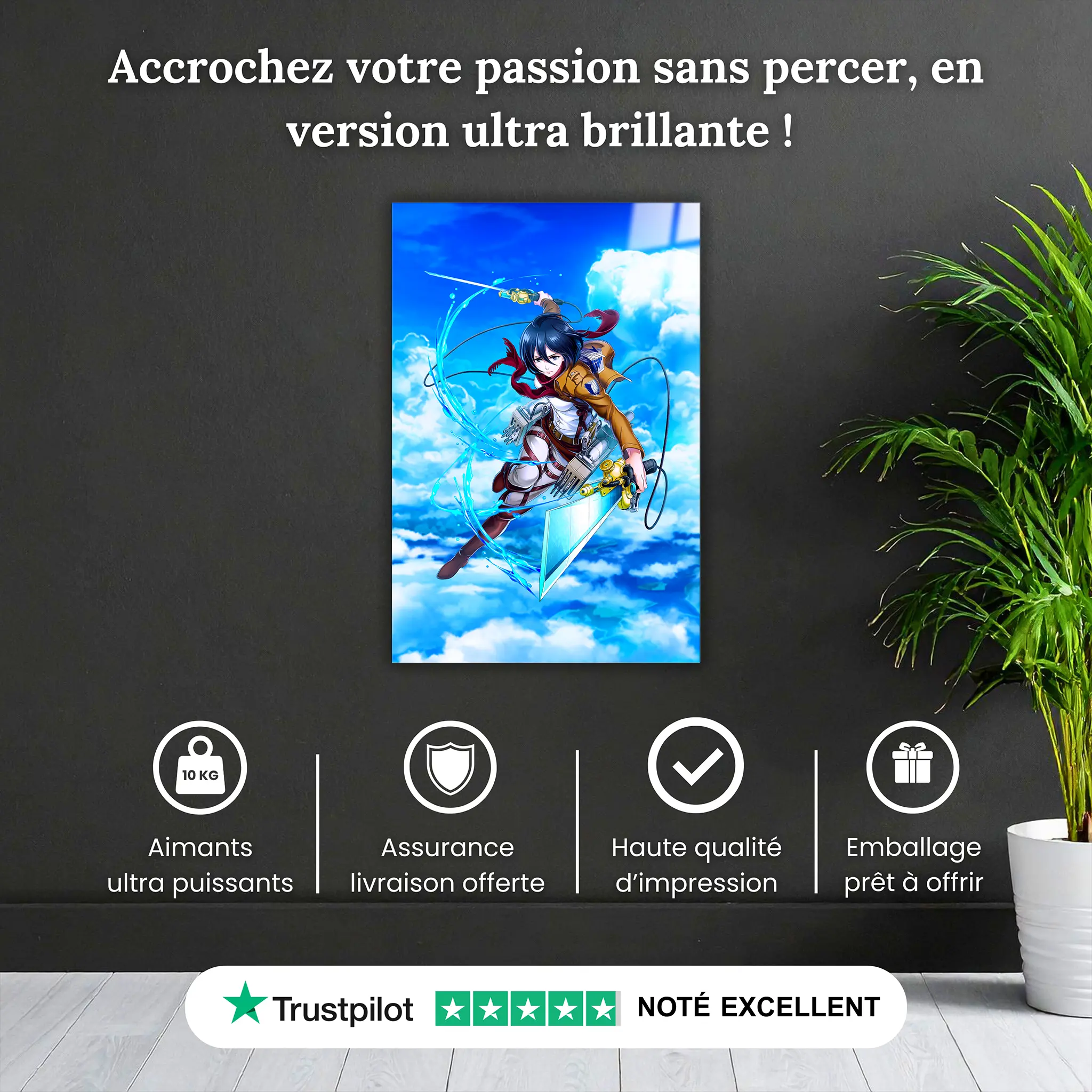 tableau-snk-mikasa-pourquoi-acheter | DreamWay