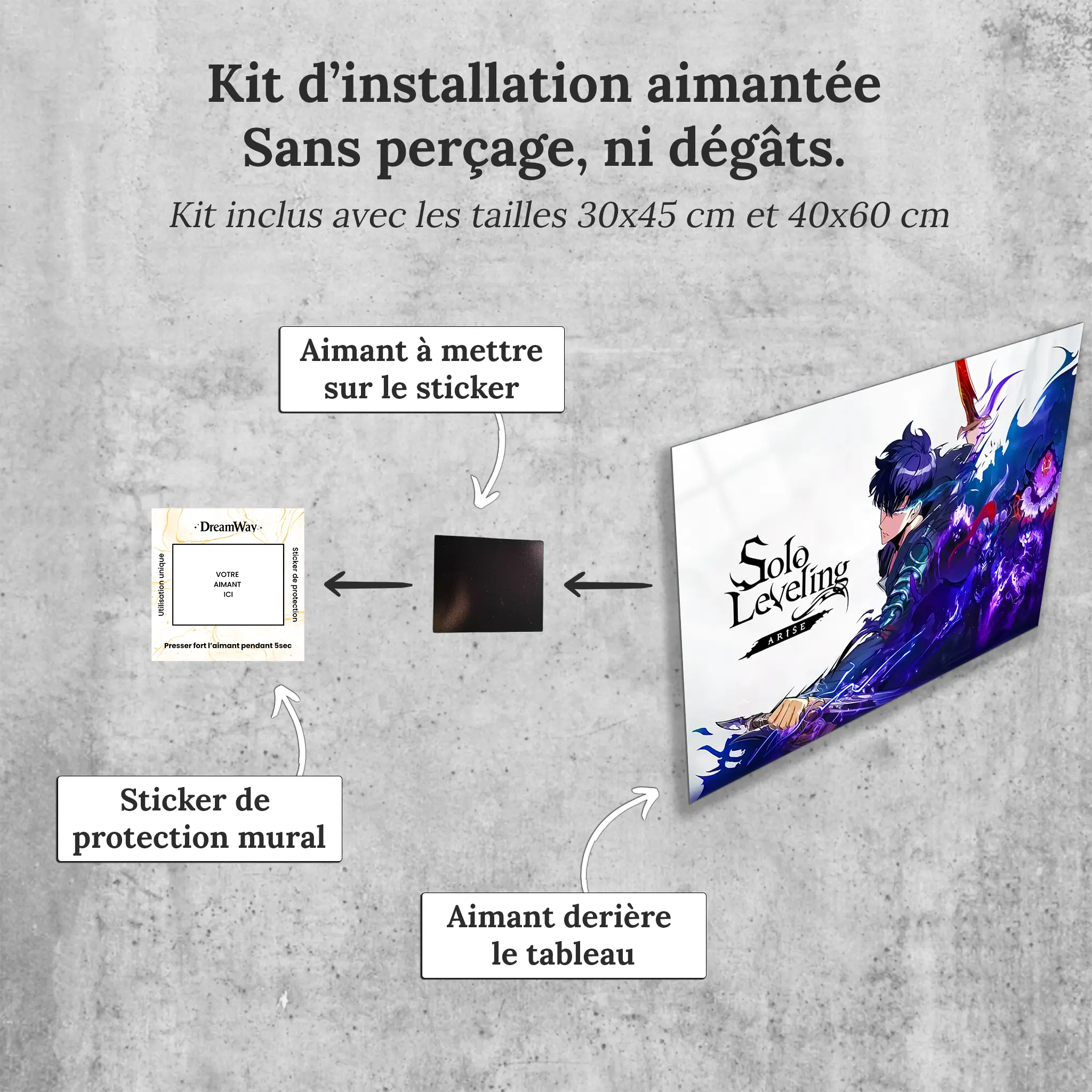 tableau-solo-leveling-arise-affiche-avec-installation-aimantee | DreamWay