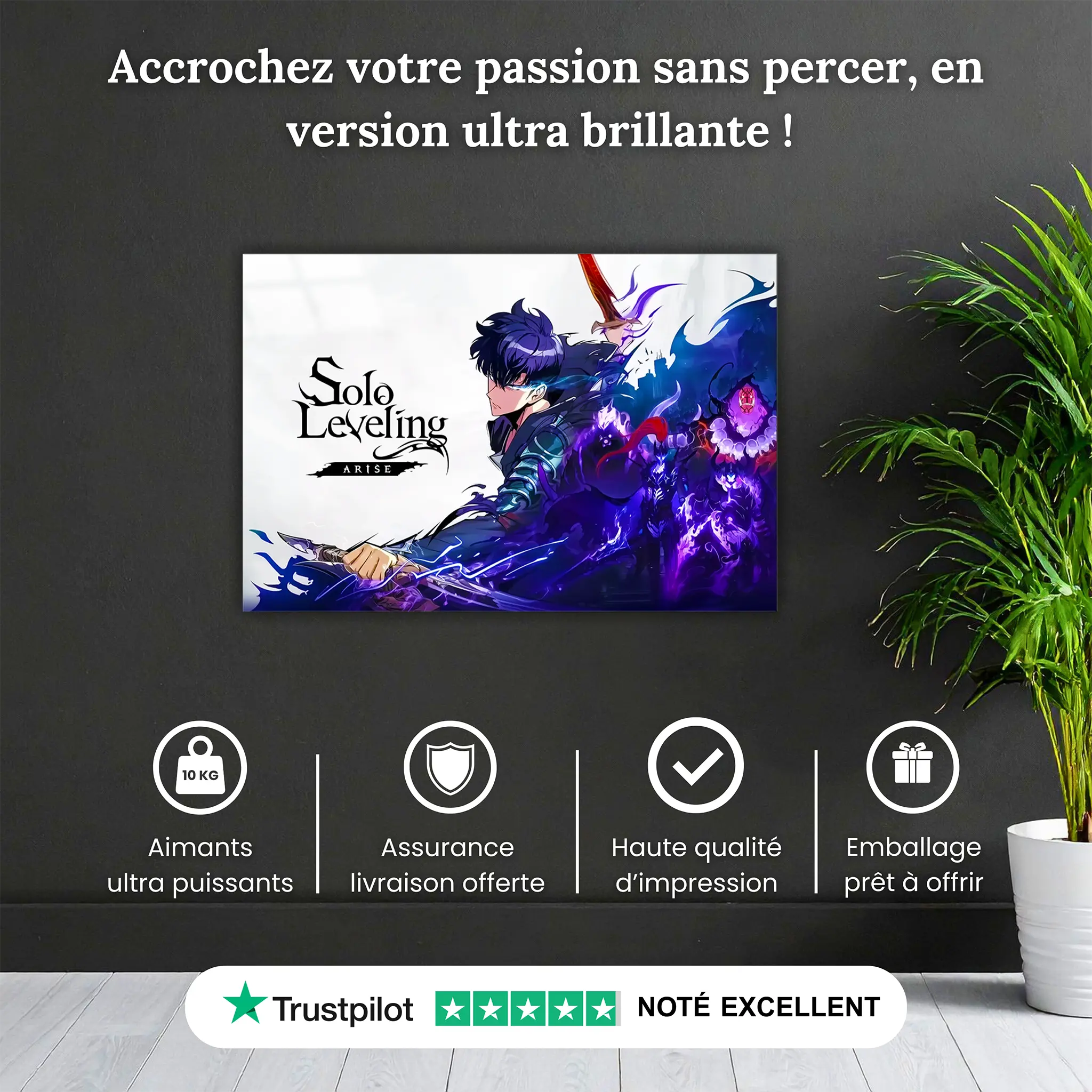 tableau-solo-leveling-arise-affiche-pourquoi-acheter | DreamWay