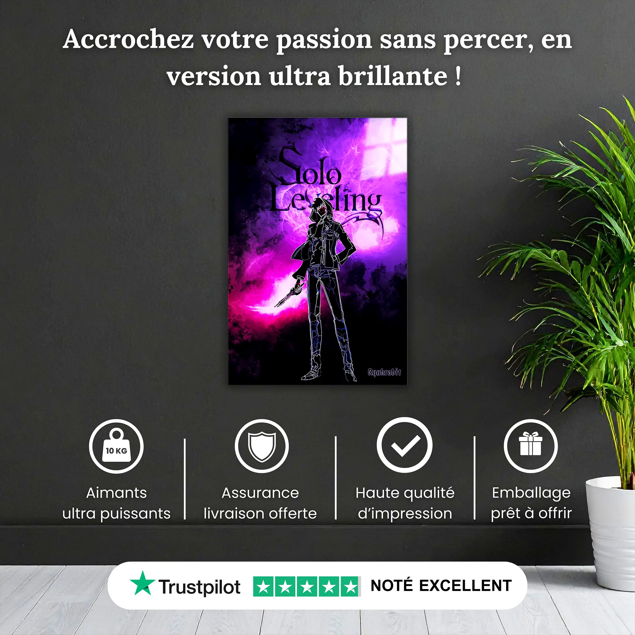 tableau-solo-leveling-colore-pourquoi-acheter | DreamWay
