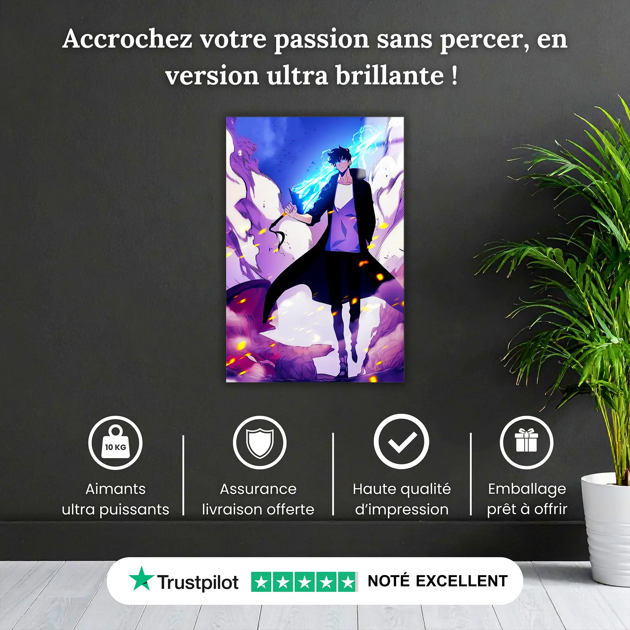 tableau-solo-leveling-epique-jin-woo-pourquoi-acheter | DreamWay