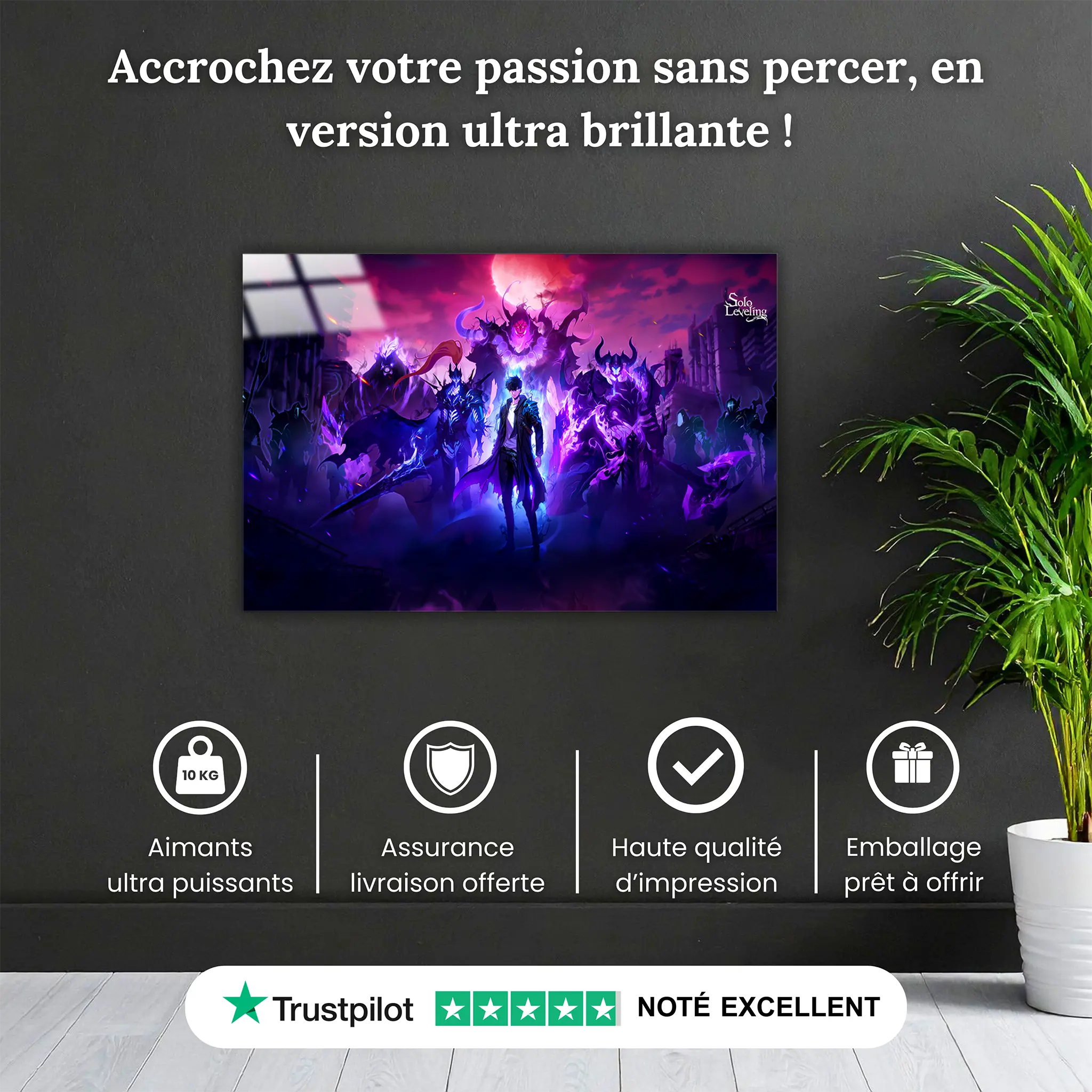tableau-solo-leveling-jin-woo-et-ses-ombres-pourquoi-acheter | DreamWay