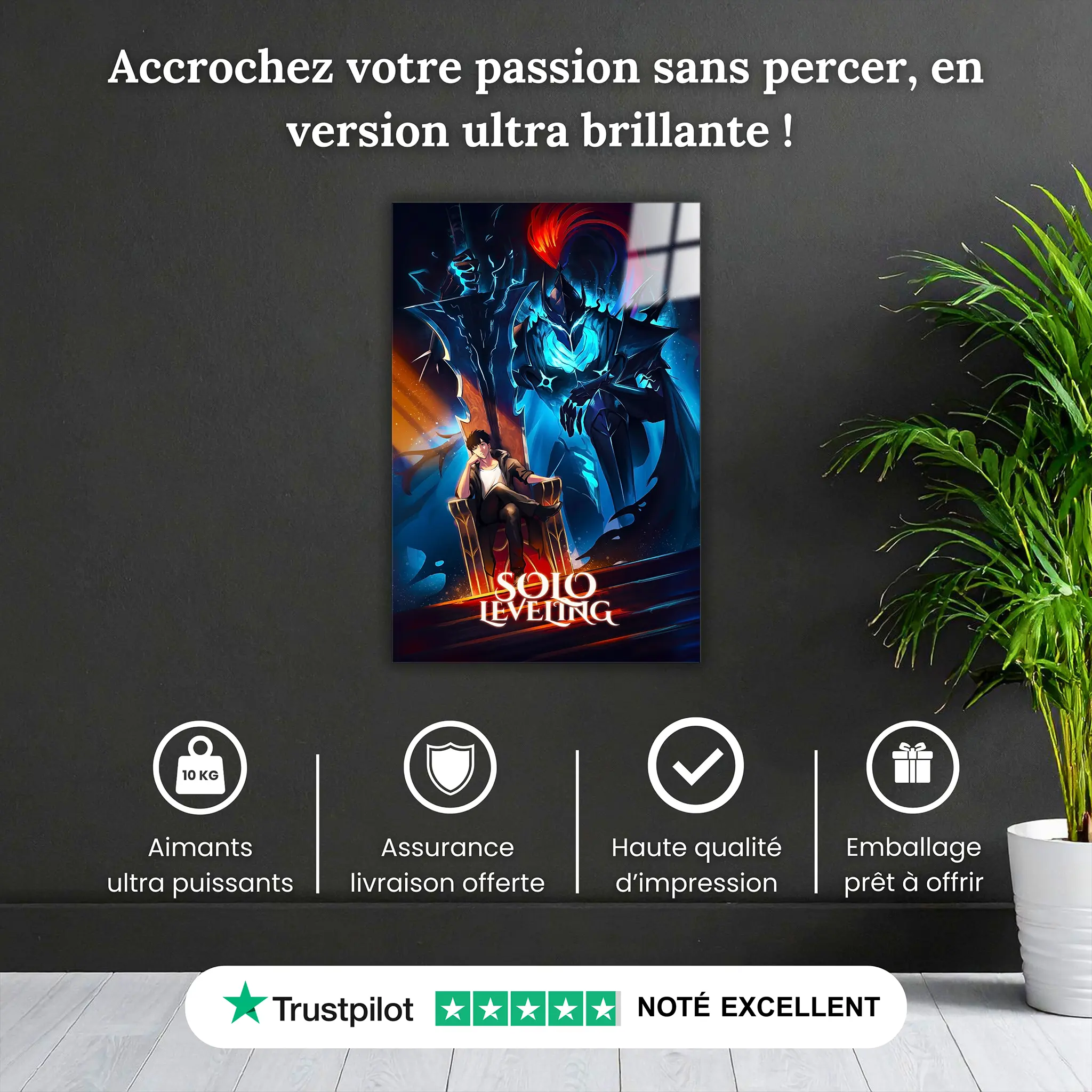 tableau-solo-leveling-jin-woo-trone-pourquoi-acheter | DreamWay