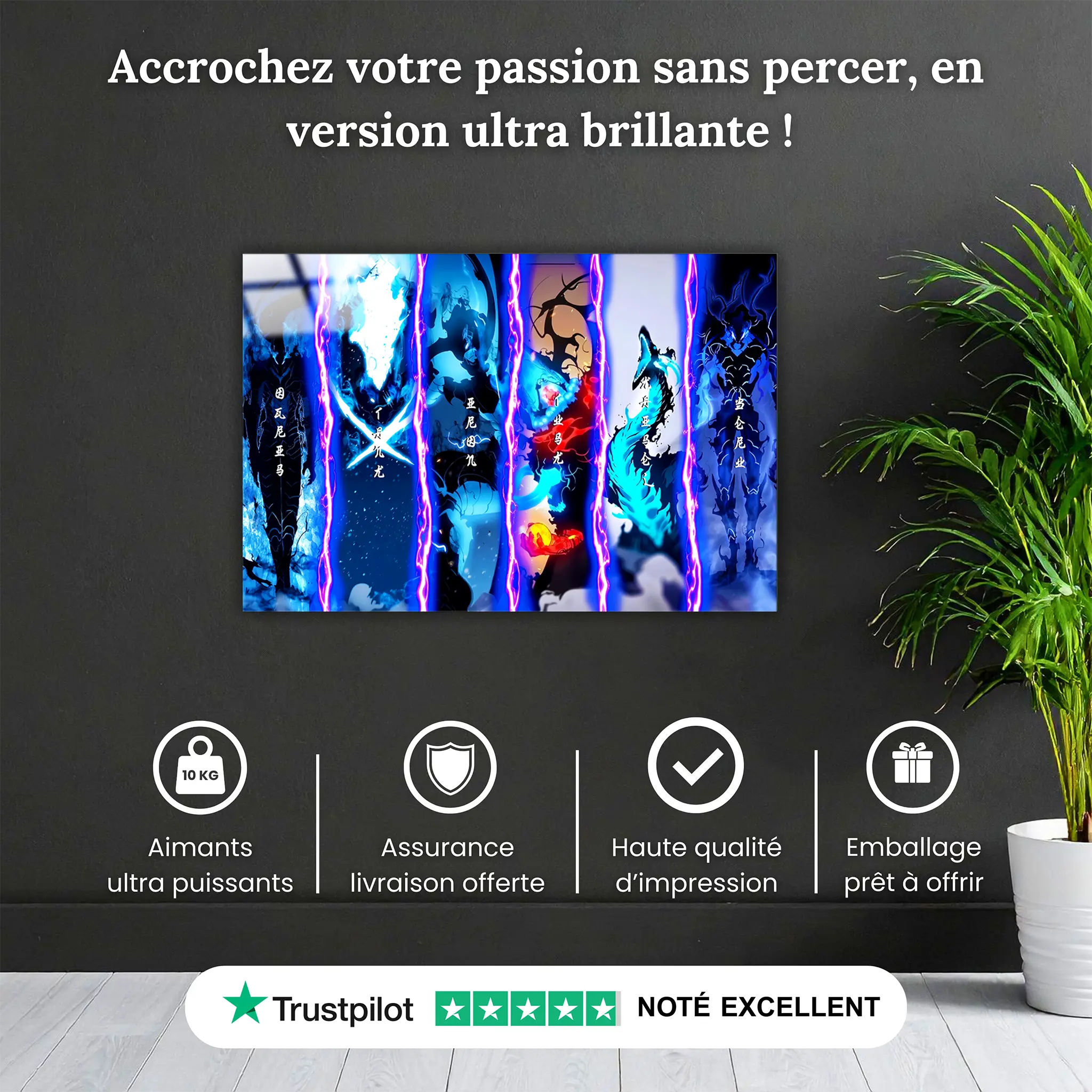tableau-solo-leveling-les-ombres-pourquoi-acheter | DreamWay