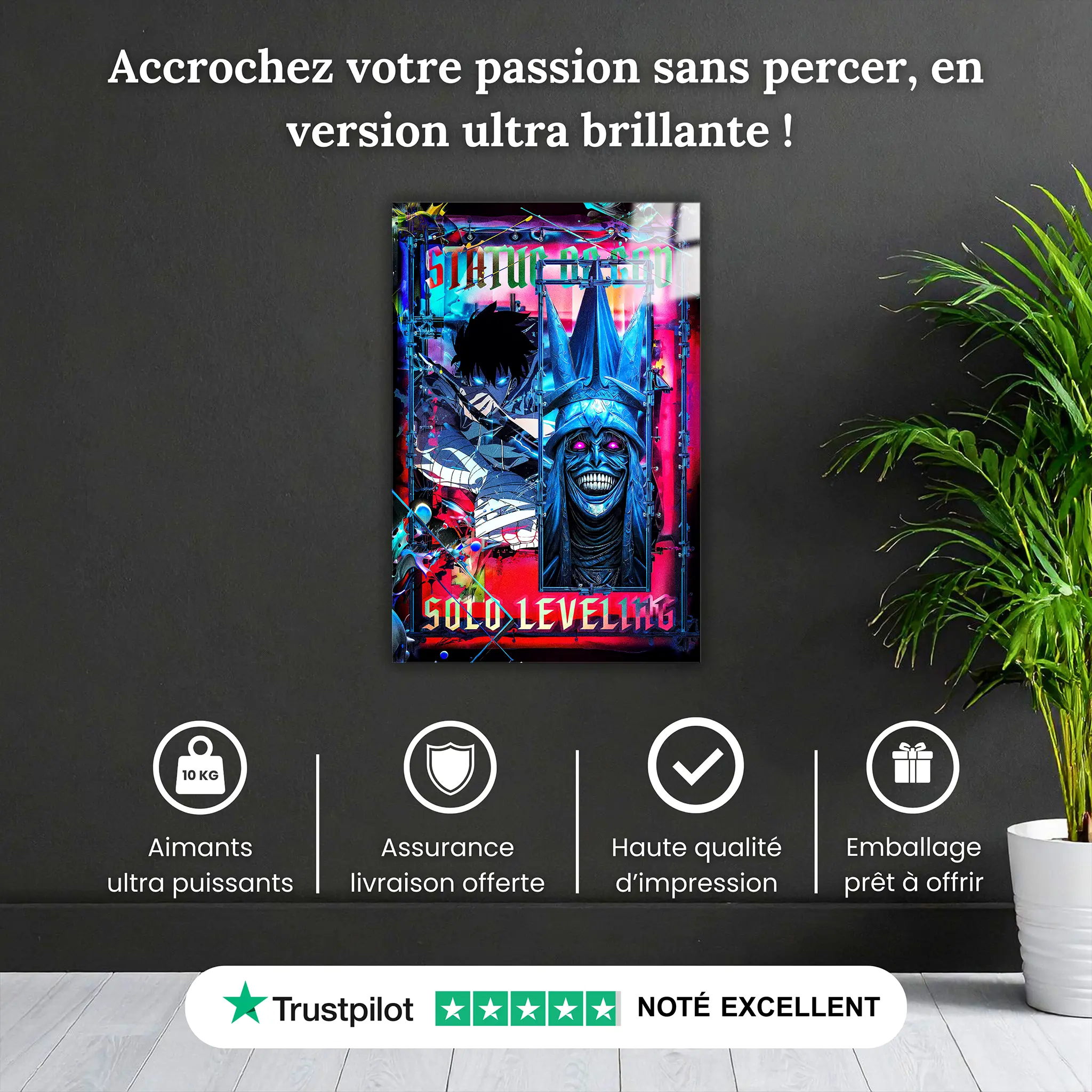 tableau-solo-leveling-statue-of-god-jin-woo-pourquoi-acheter | DreamWay