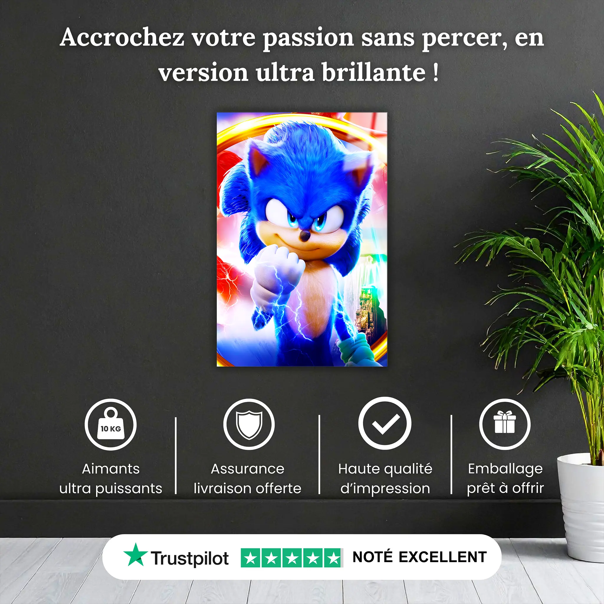 tableau-sonic-pourquoi-acheter | DreamWay