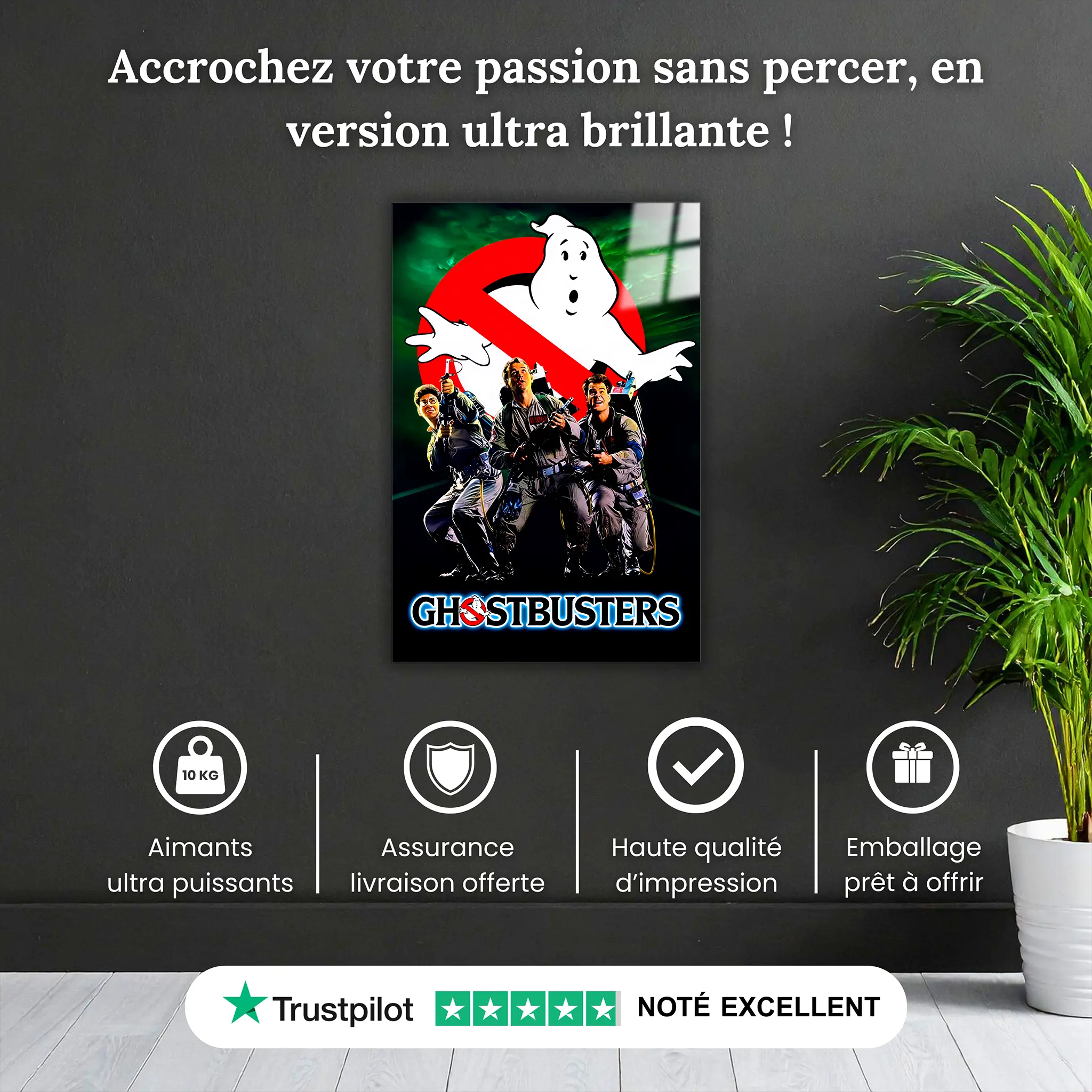 tableau-sos-fantome-affiche-pourquoi-acheter | DreamWay