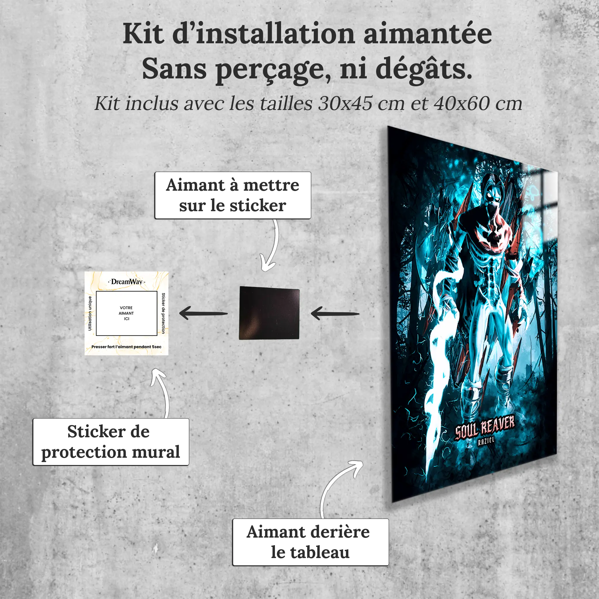 tableau-soul-reaver-raziel-avec-installation-aimantee | DreamWay