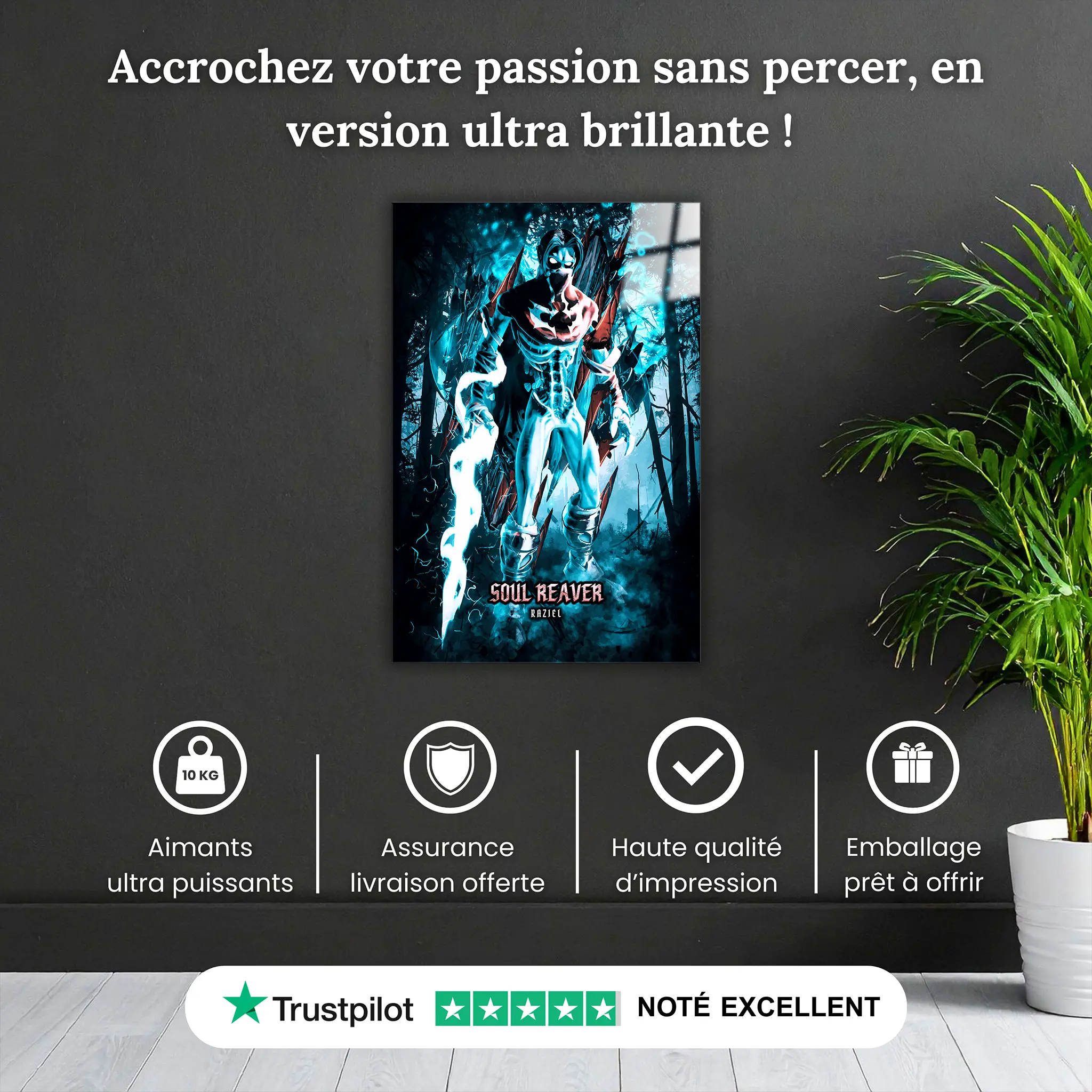 tableau-soul-reaver-raziel-pourquoi-acheter | DreamWay