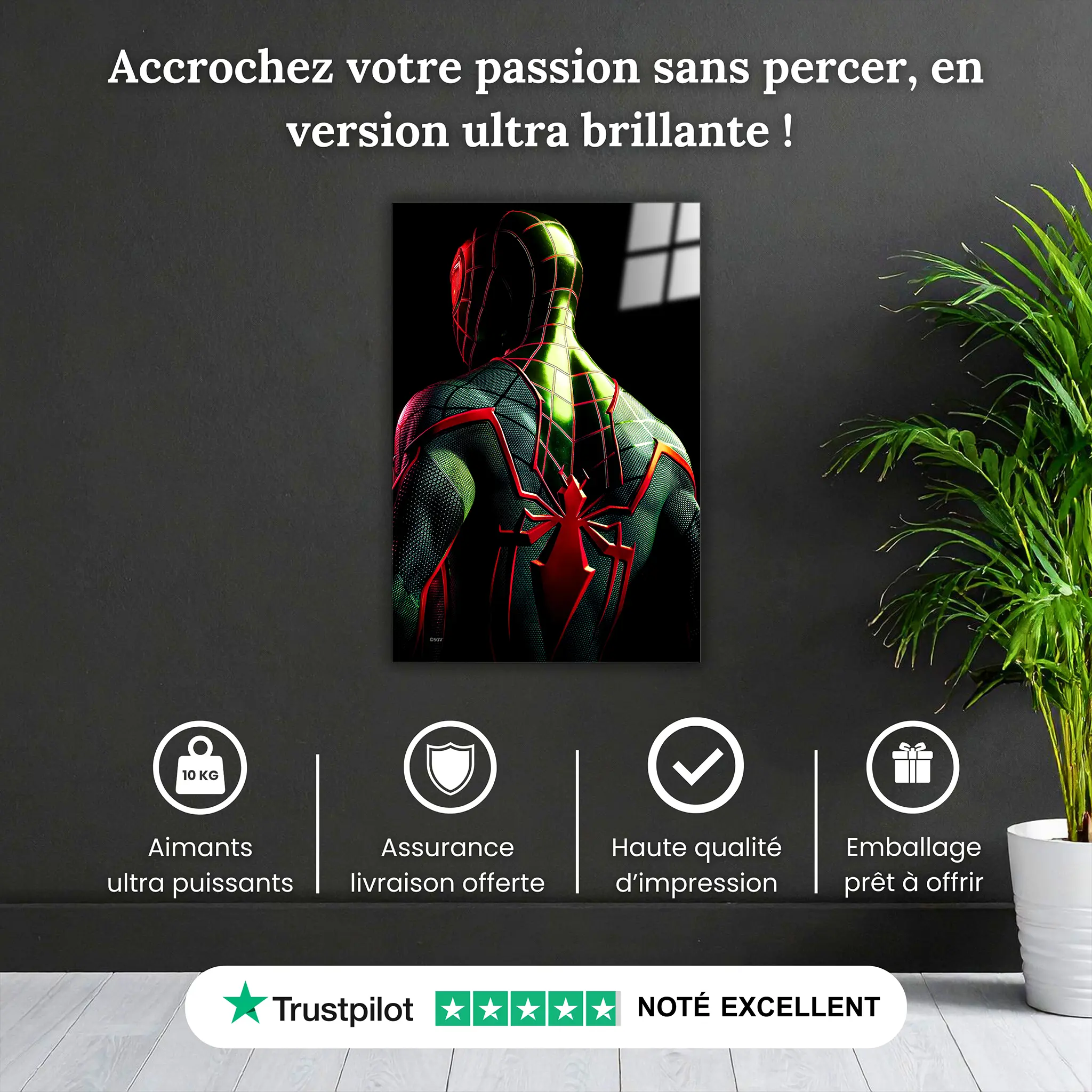 tableau-spider-man-pourquoi-acheter | DreamWay