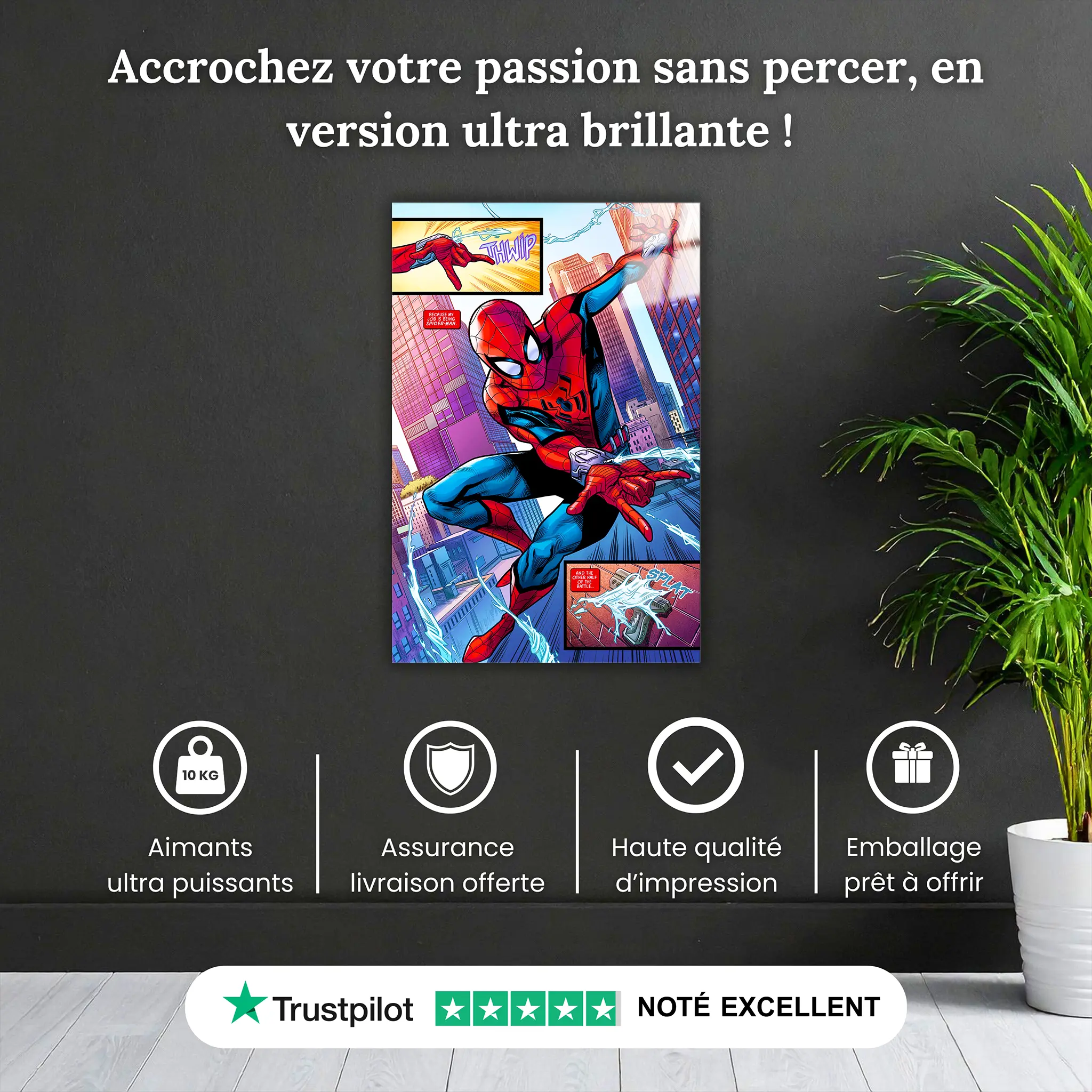 tableau-spiderman-bd-pourquoi-acheter | DreamWay