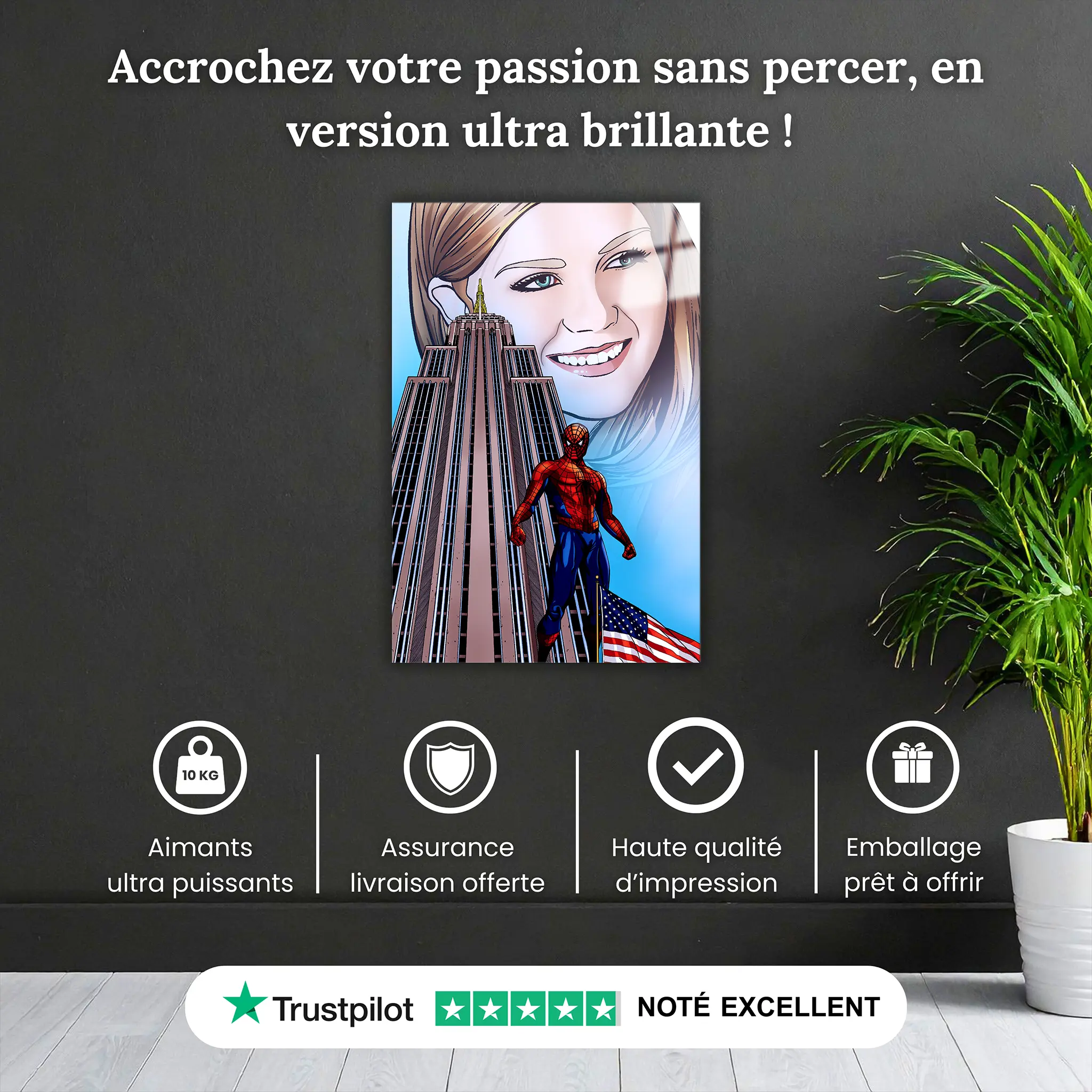 tableau-spiderman-et-mary-jane-pourquoi-acheter | DreamWay