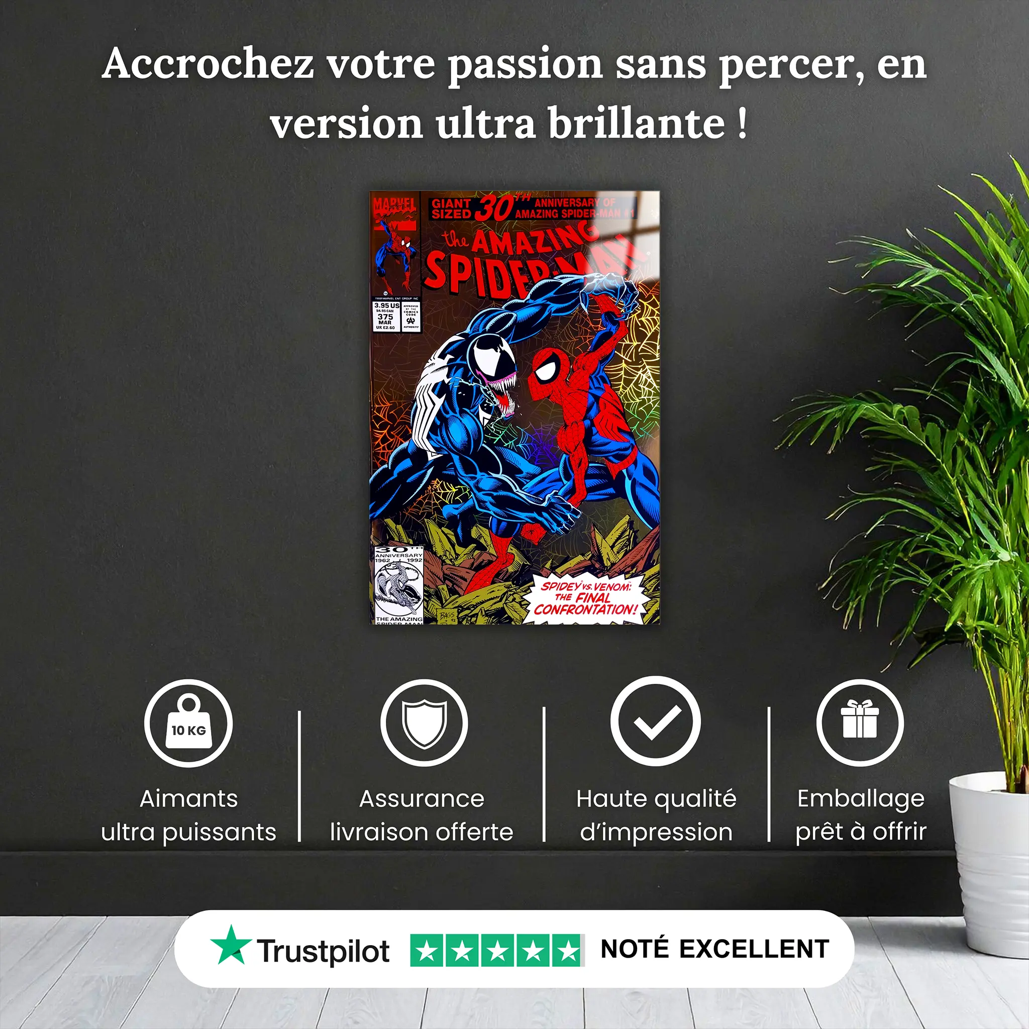 tableau-spiderman-et-venom-magazine-comics-pourquoi-acheter | DreamWay