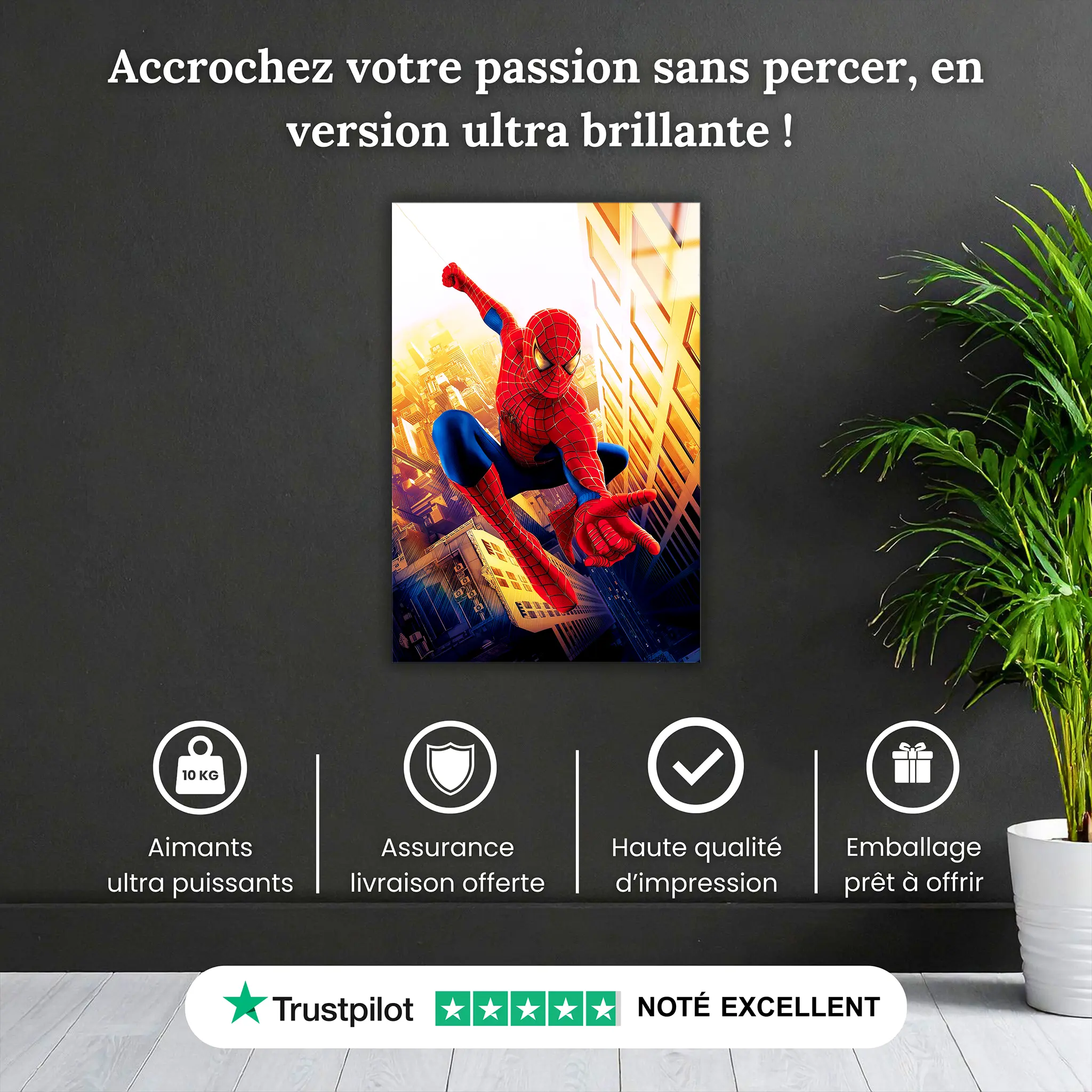 tableau-spiderman-heros-pourquoi-acheter | DreamWay
