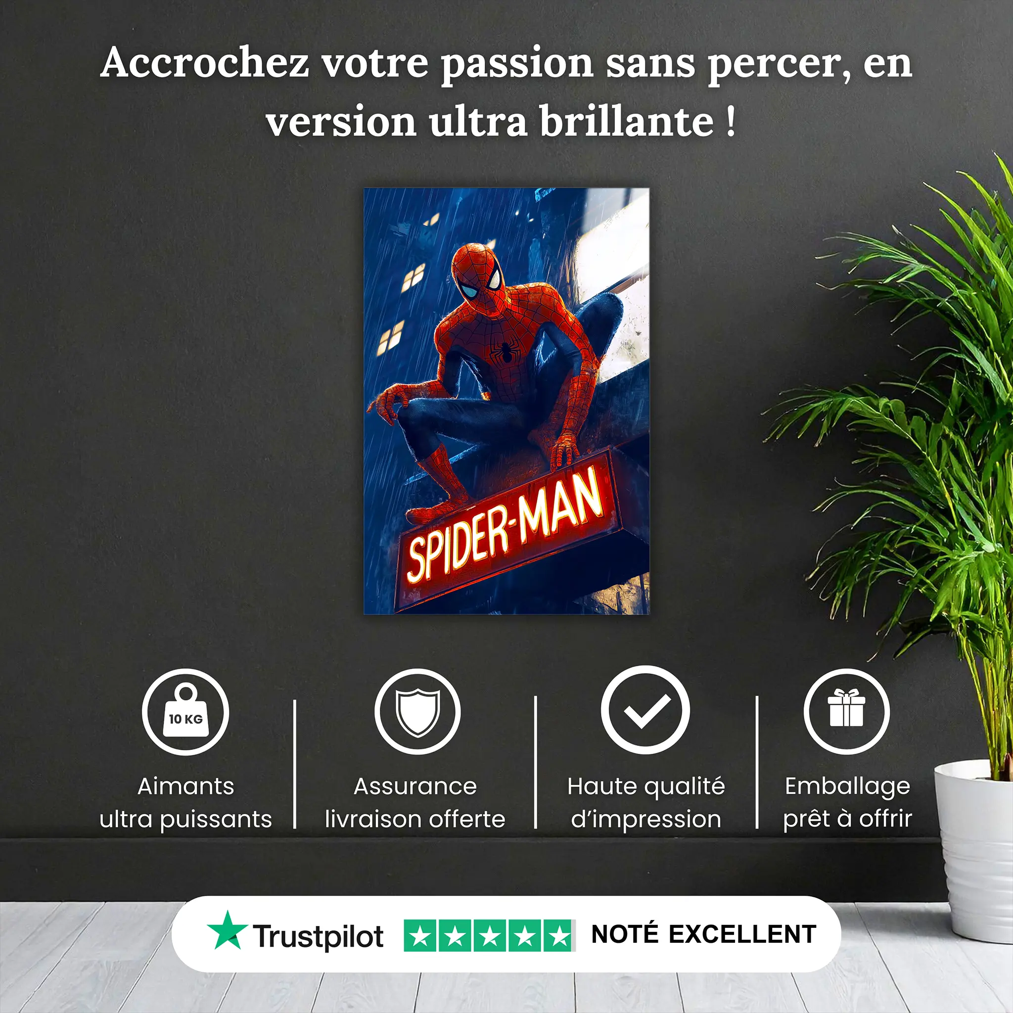 tableau-spiderman-neon-pourquoi-acheter | DreamWay