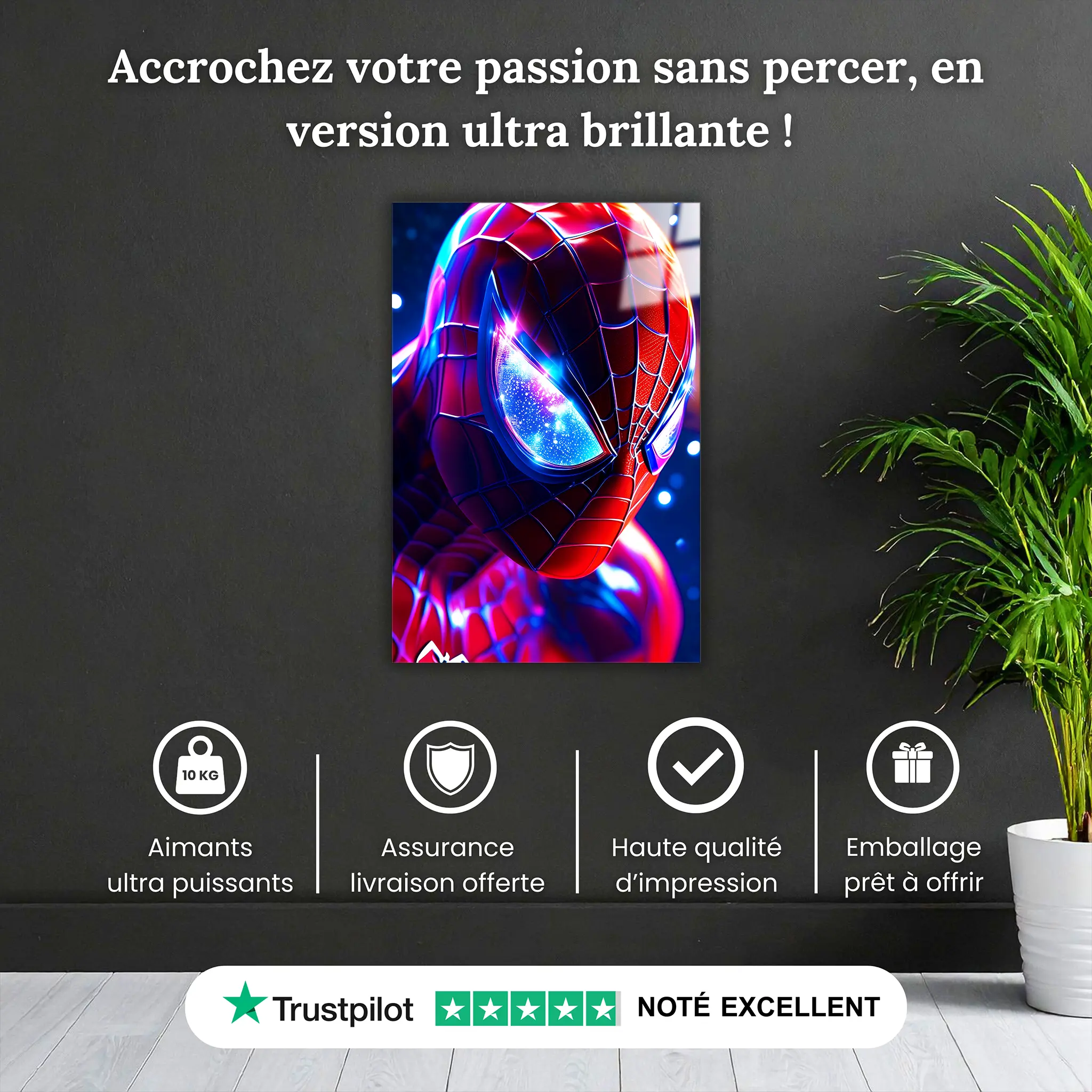 tableau-spiderman-portrait-pourquoi-acheter | DreamWay