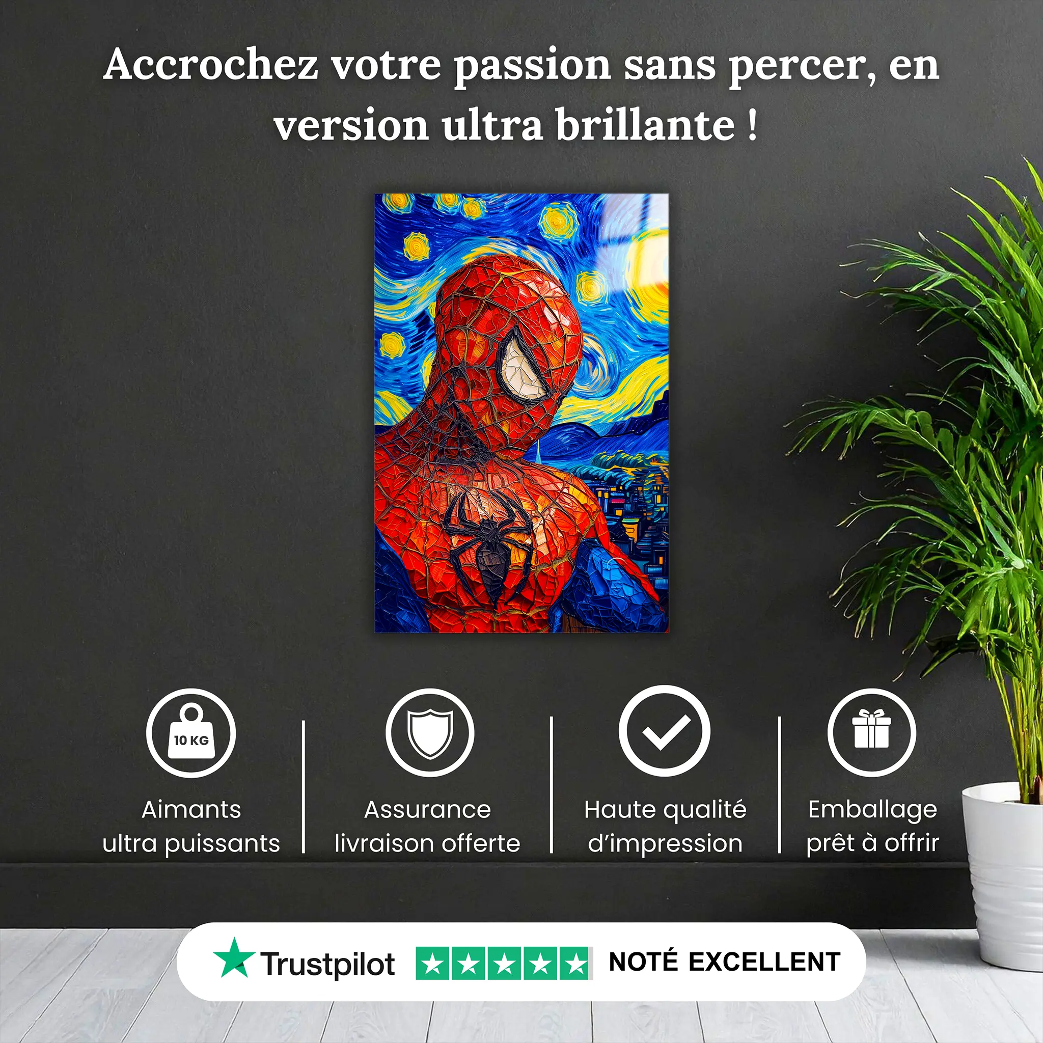 tableau-spiderman-van-gogh-pourquoi-acheter | DreamWay