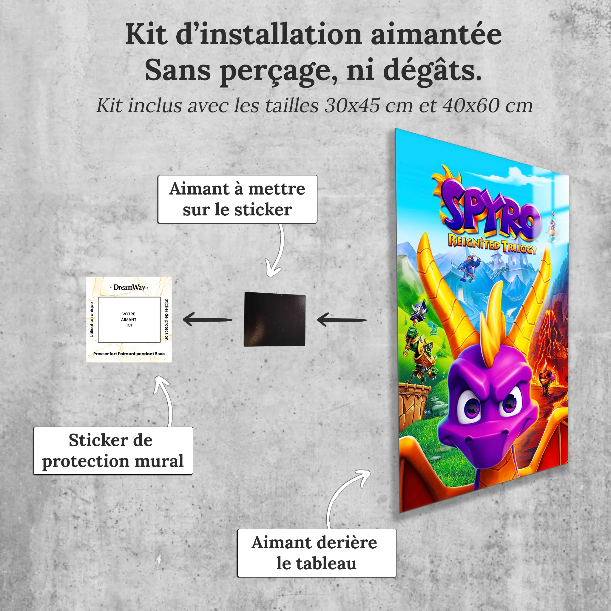 tableau-spryro-affiche-avec-installation-aimantee | DreamWay