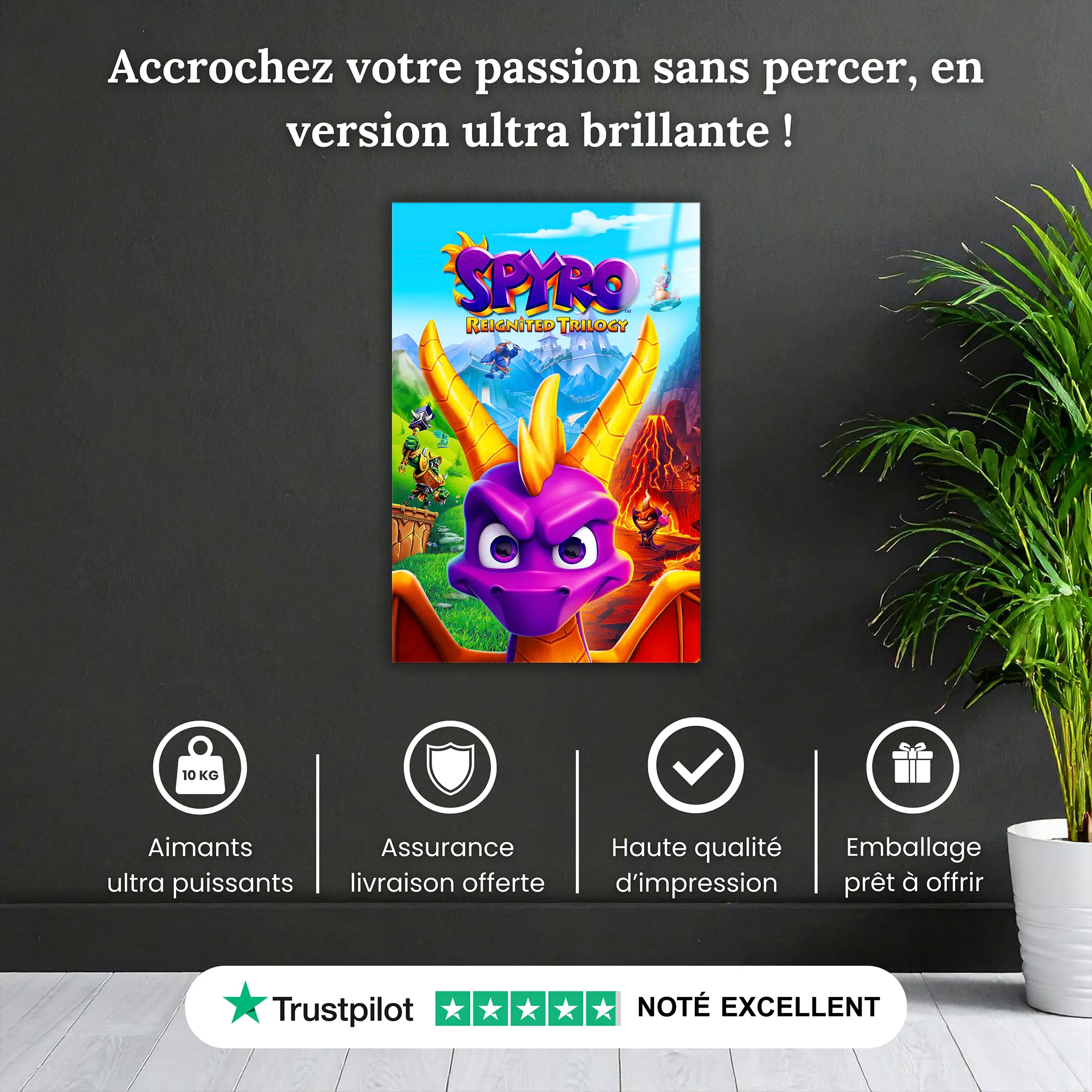 tableau-spryro-affiche-pourquoi-acheter | DreamWay