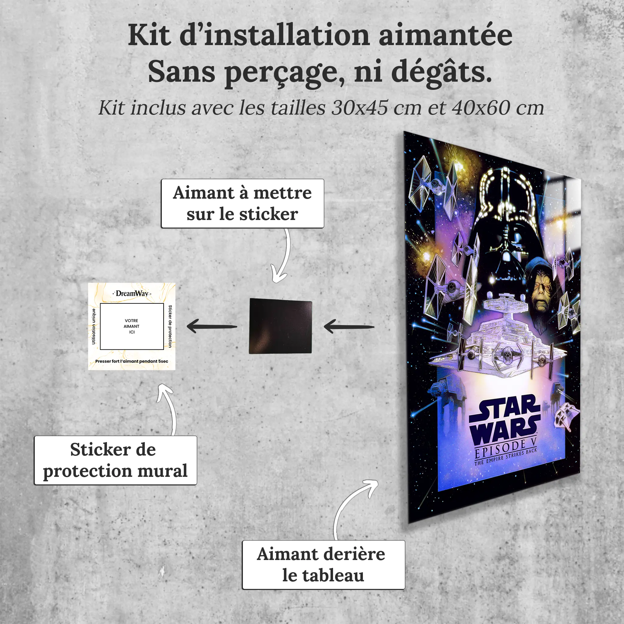 tableau-star-wars-l-empire-contre-attaque-avec-installation-aimantee | DreamWay