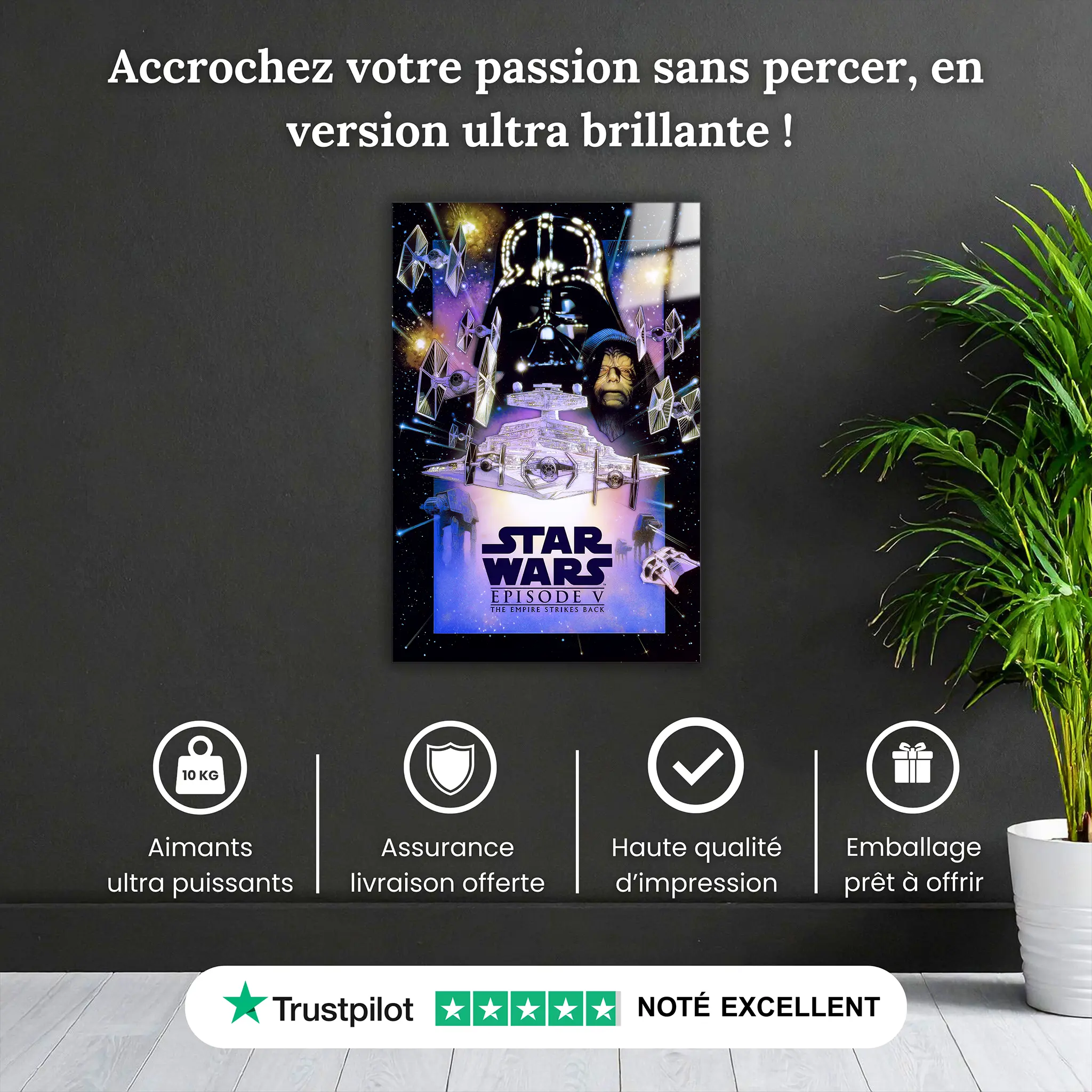 tableau-star-wars-l-empire-contre-attaque-pourquoi-acheter | DreamWay