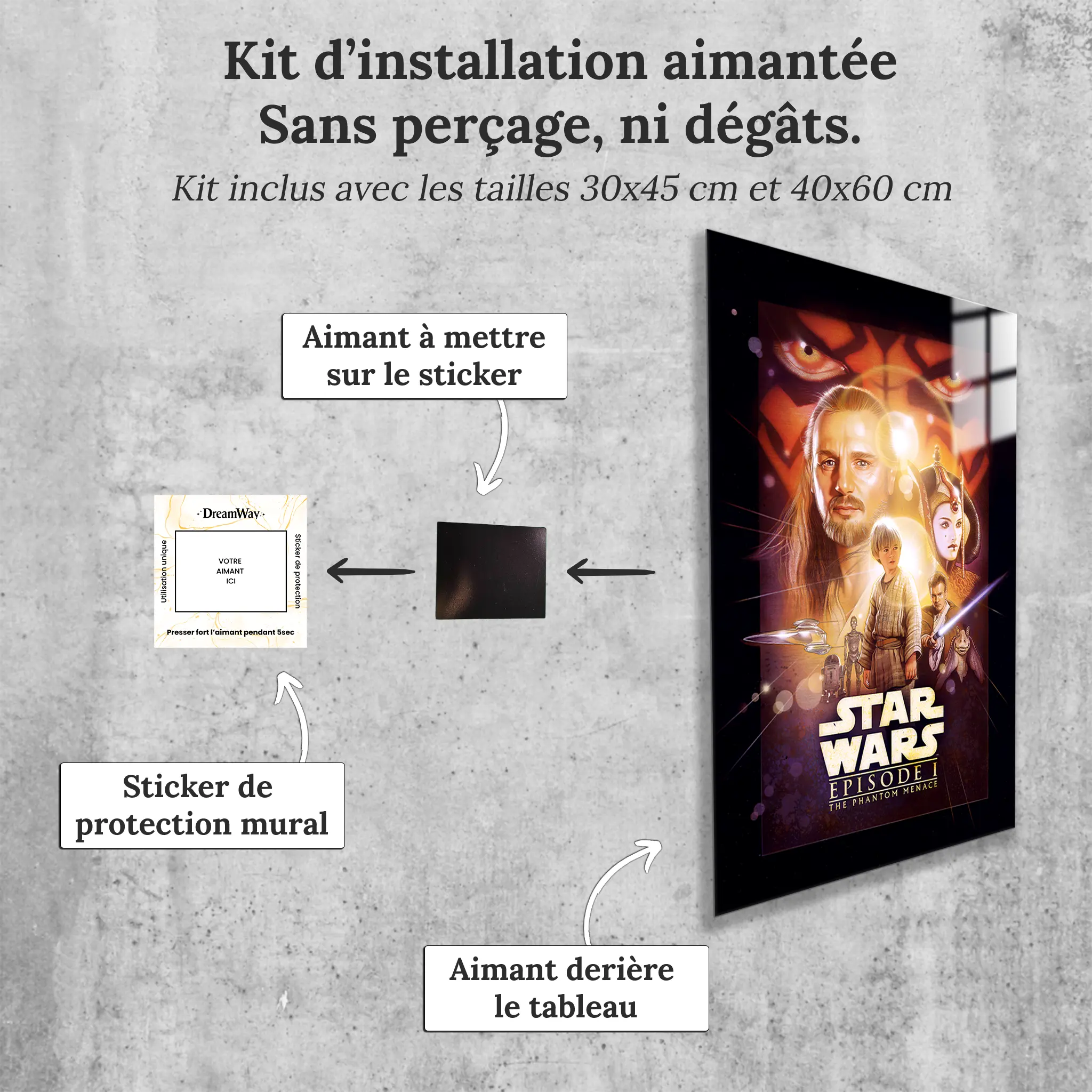 tableau-star-wars-la-menace-fantome-avec-installation-aimantee | DreamWay