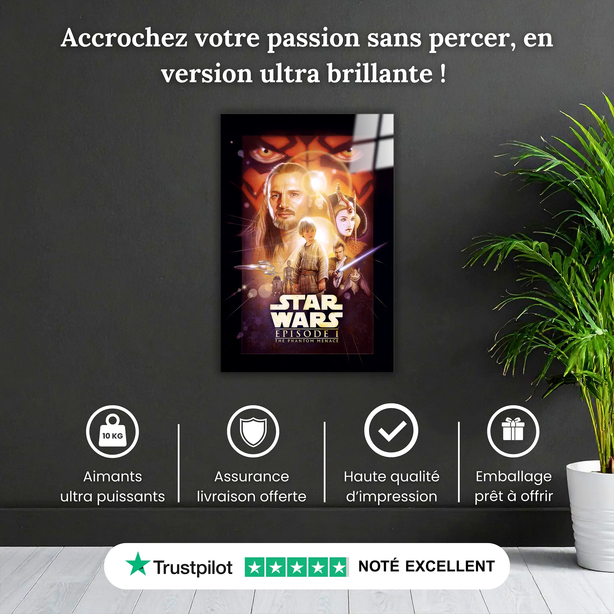 tableau-star-wars-la-menace-fantome-pourquoi-acheter | DreamWay