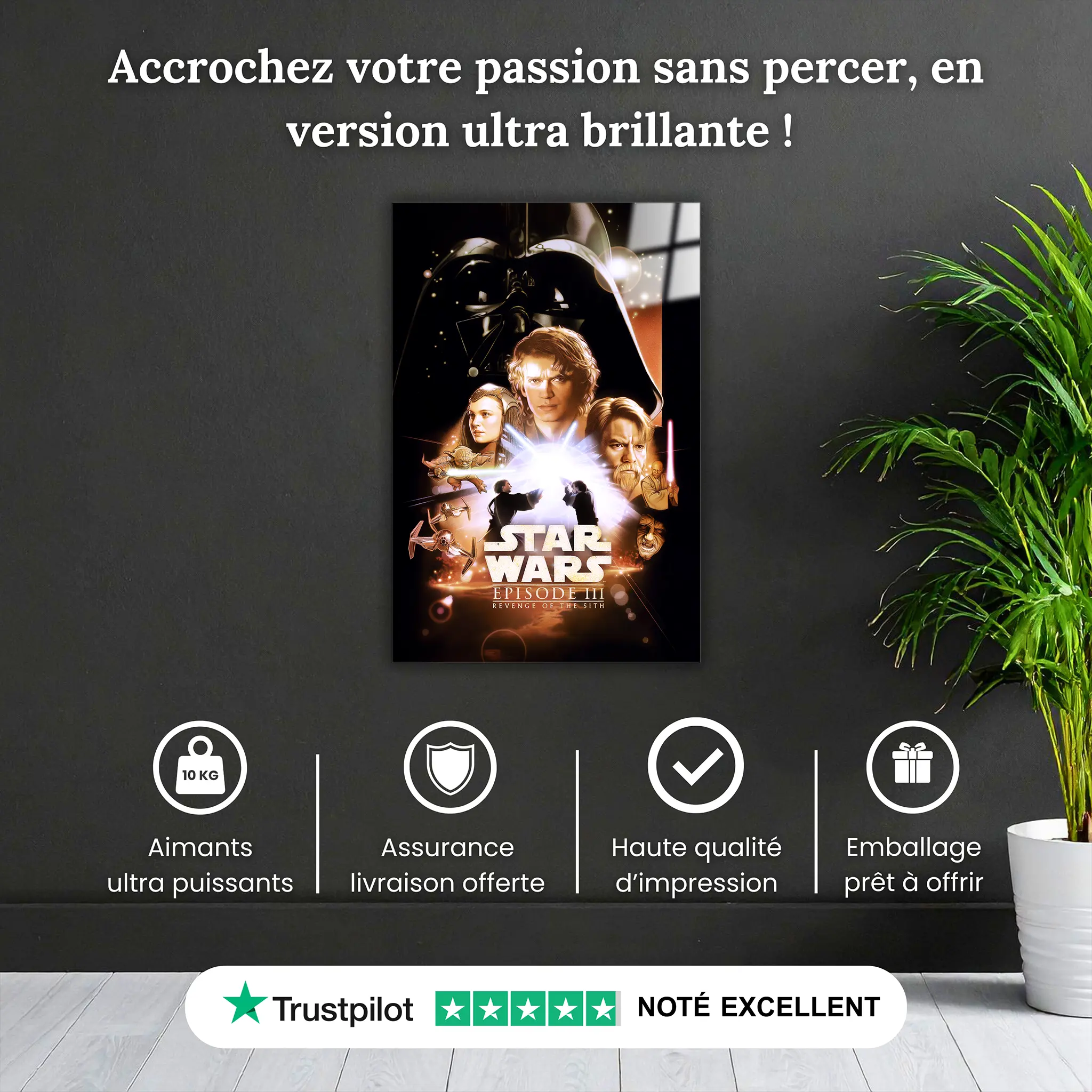 tableau-star-wars-la-revanche-des-sith-pourquoi-acheter | DreamWay
