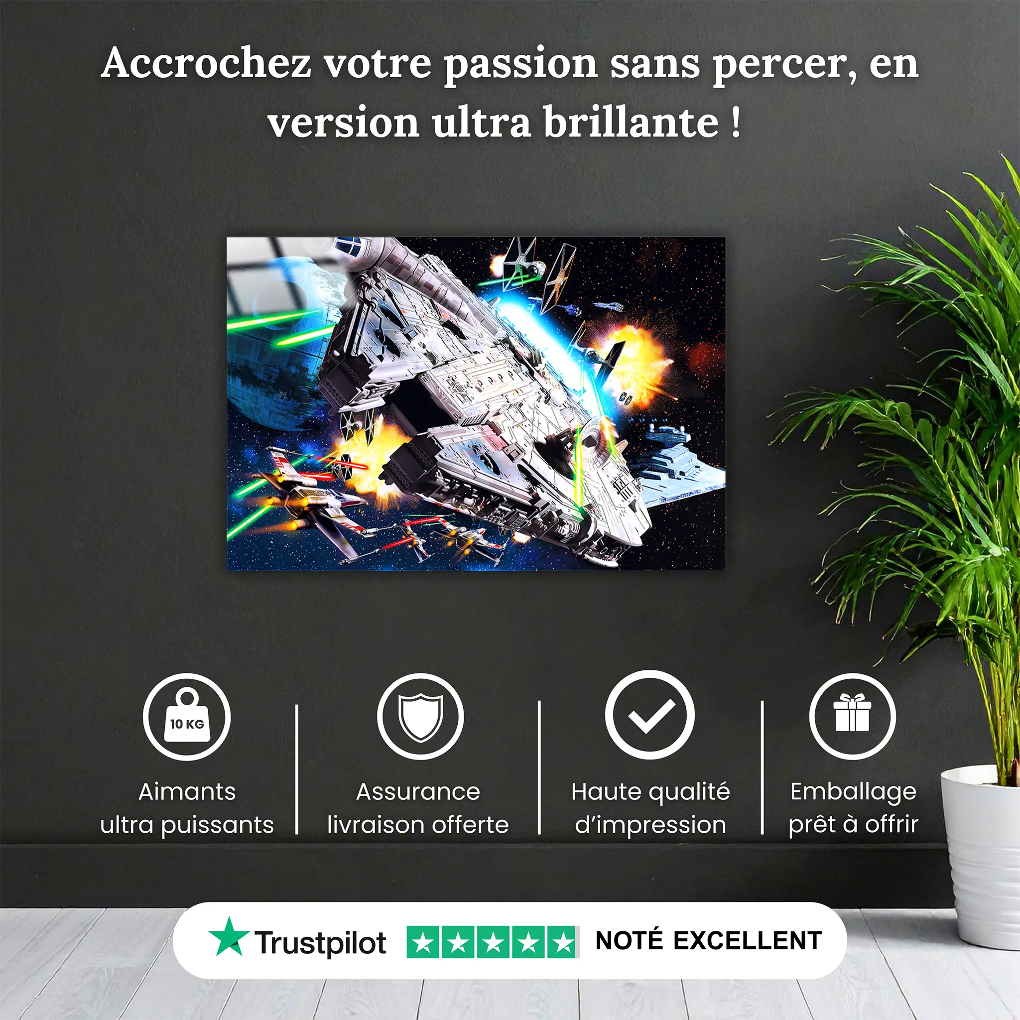 tableau-star-wars-le-millennium-pourquoi-acheter | DreamWay