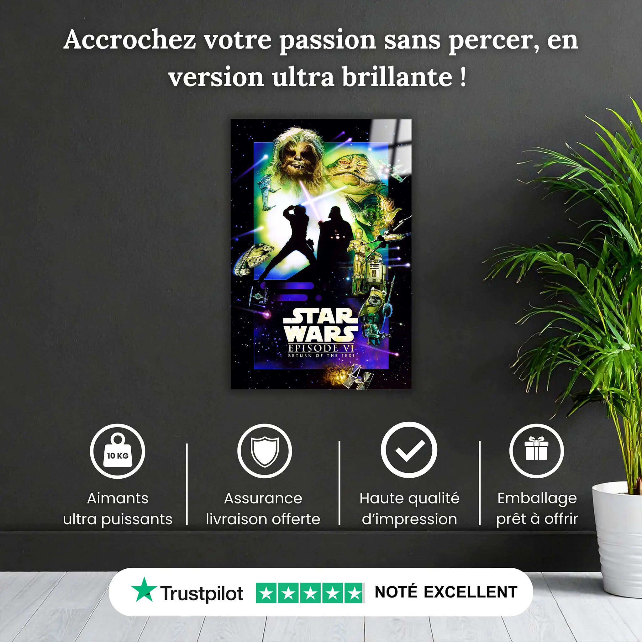 tableau-star-wars-le-retour-du-jedi-pourquoi-acheter | DreamWay