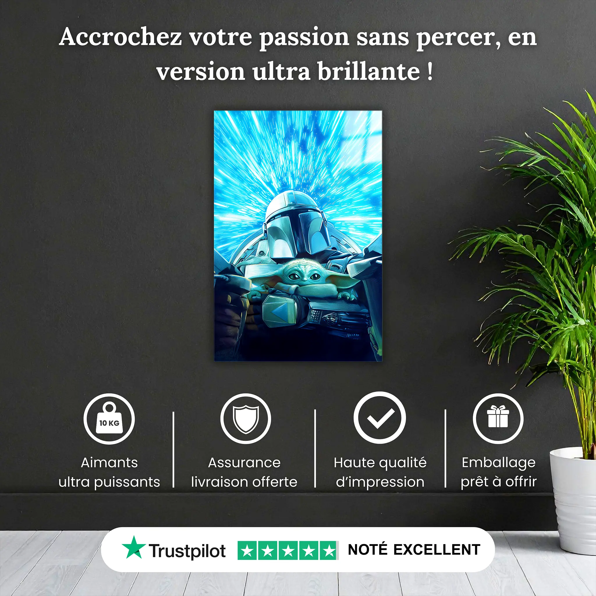 tableau-star-wars-malandoriane-pourquoi-acheter | DreamWay