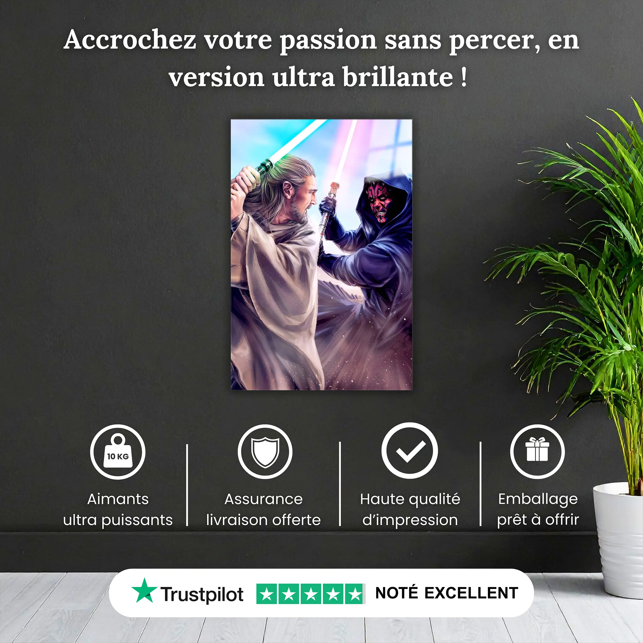 tableau-star-wars-qui-gon-vs-dark-maul-pourquoi-acheter | DreamWay
