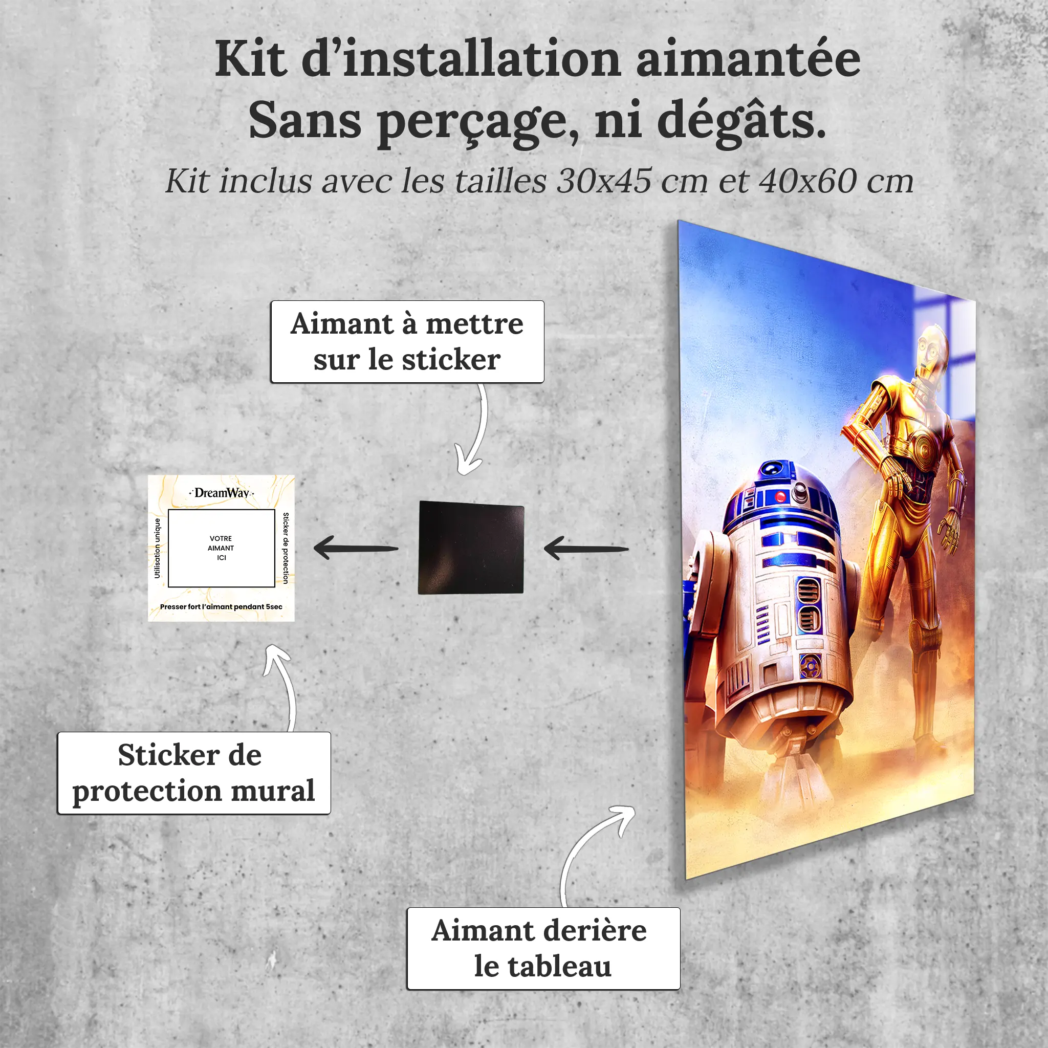 tableau-star-wars-r2d2-c-3po-avec-installation-aimantee | DreamWay