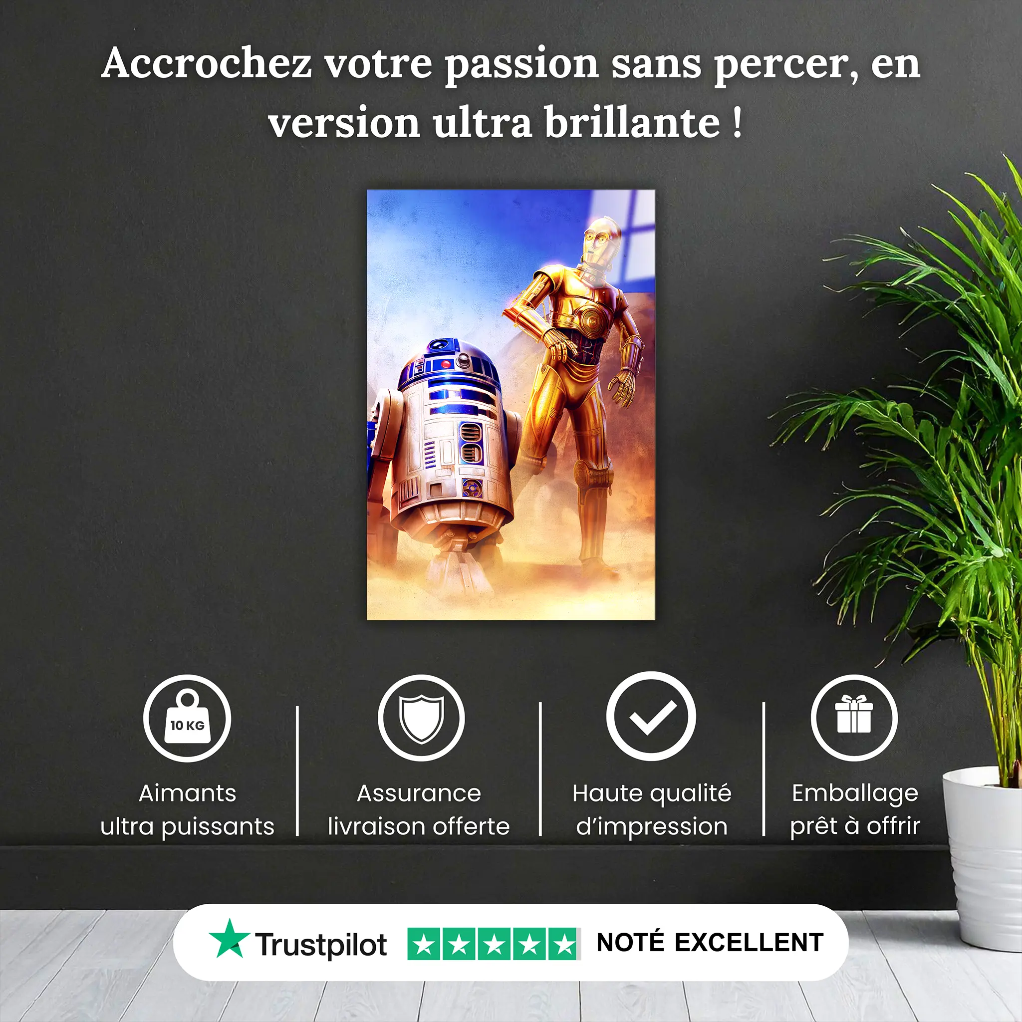 tableau-star-wars-r2d2-c-3po-pourquoi-acheter | DreamWay