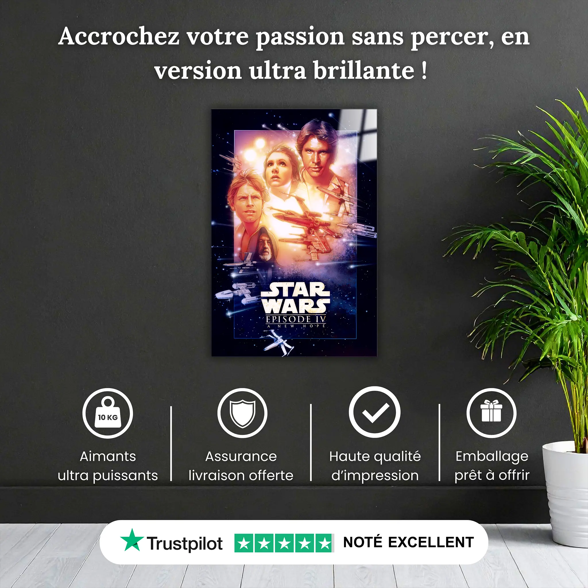 tableau-star-wars-un-nouveau-espoir-pourquoi-acheter | DreamWay