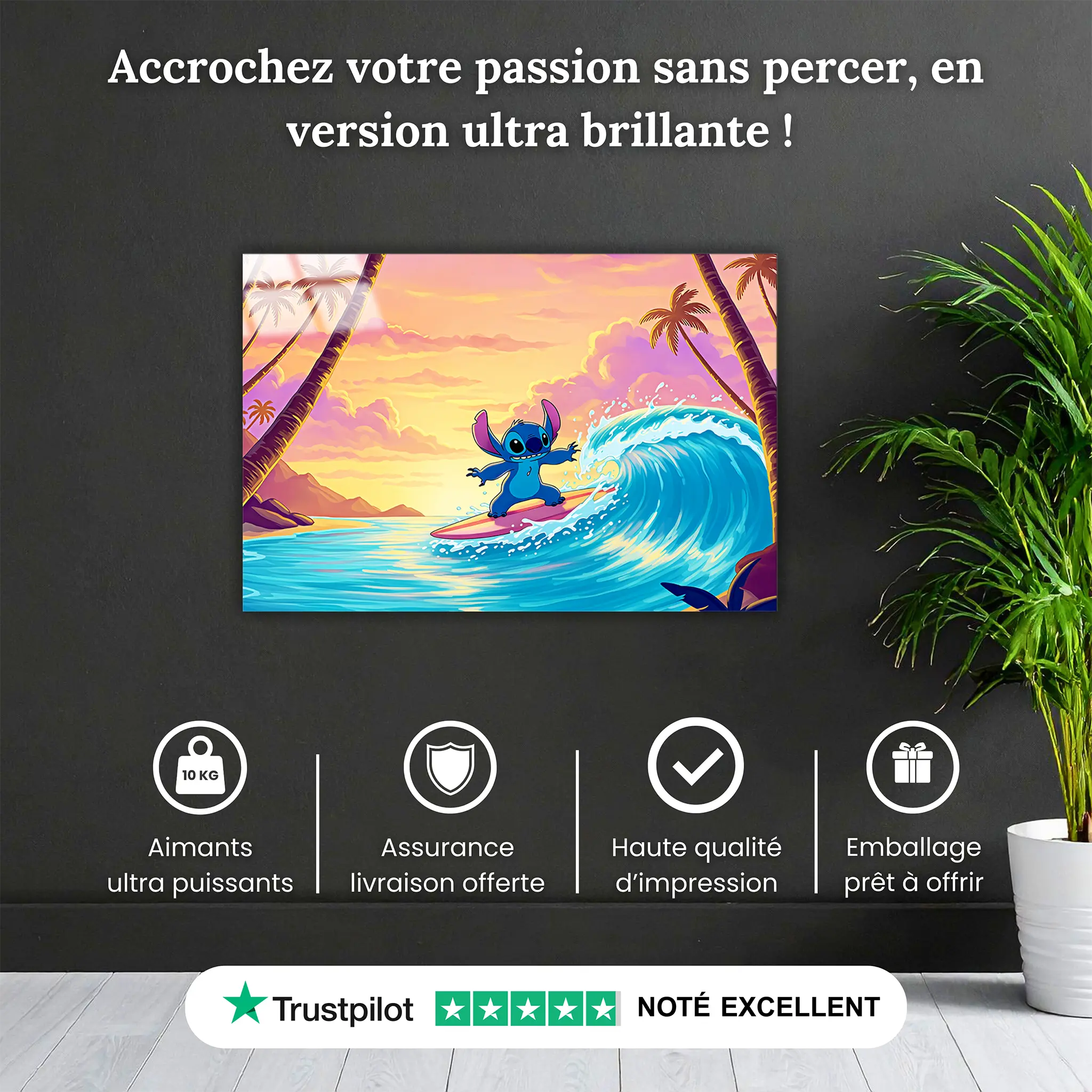 tableau-stitch-surf-pourquoi-acheter | DreamWay
