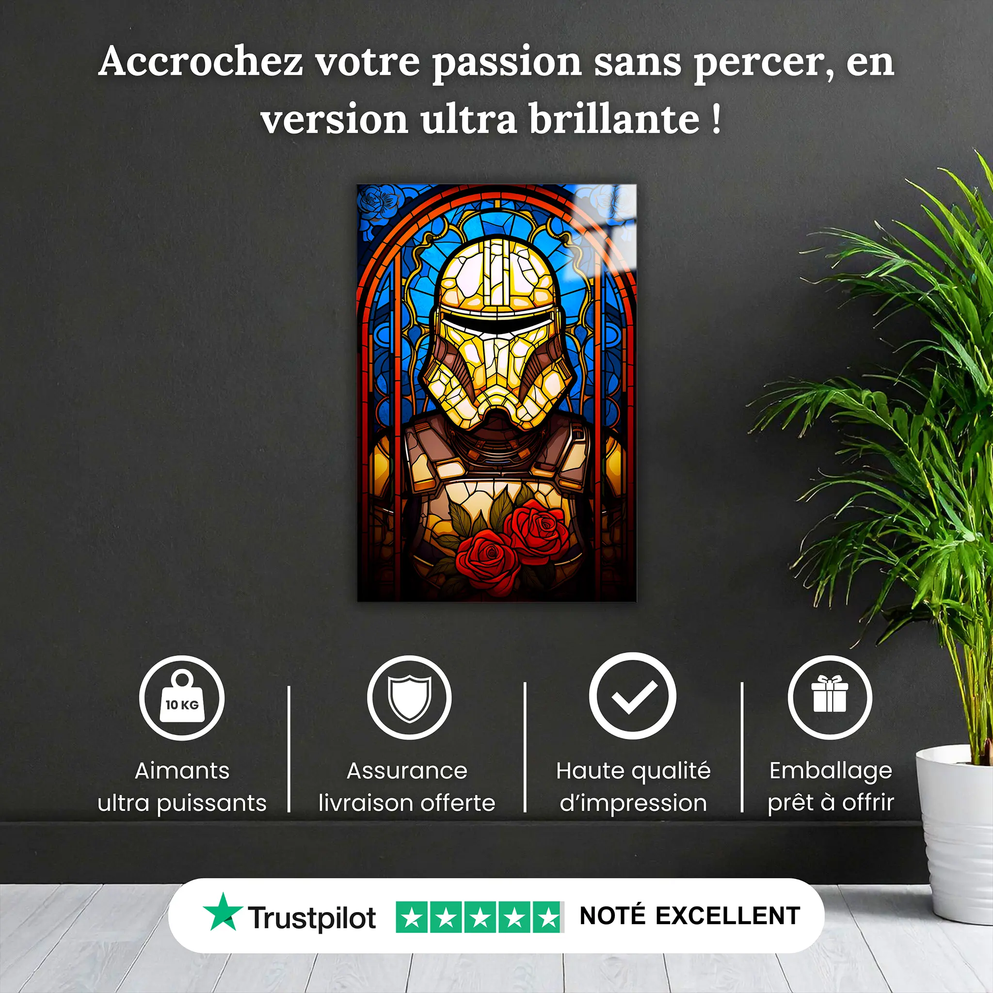 tableau-stormtrooper-vitrail-pourquoi-acheter | DreamWay