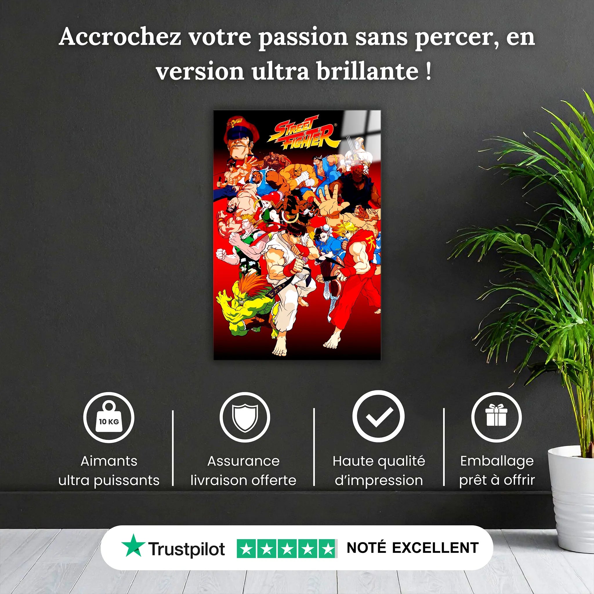 Tableau Street Fighter Affiche Les Héros