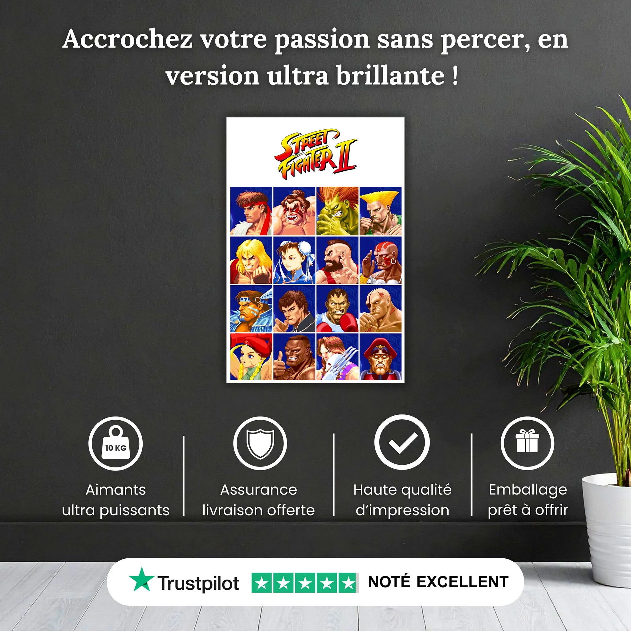Tableau Street Fighter II Affiche