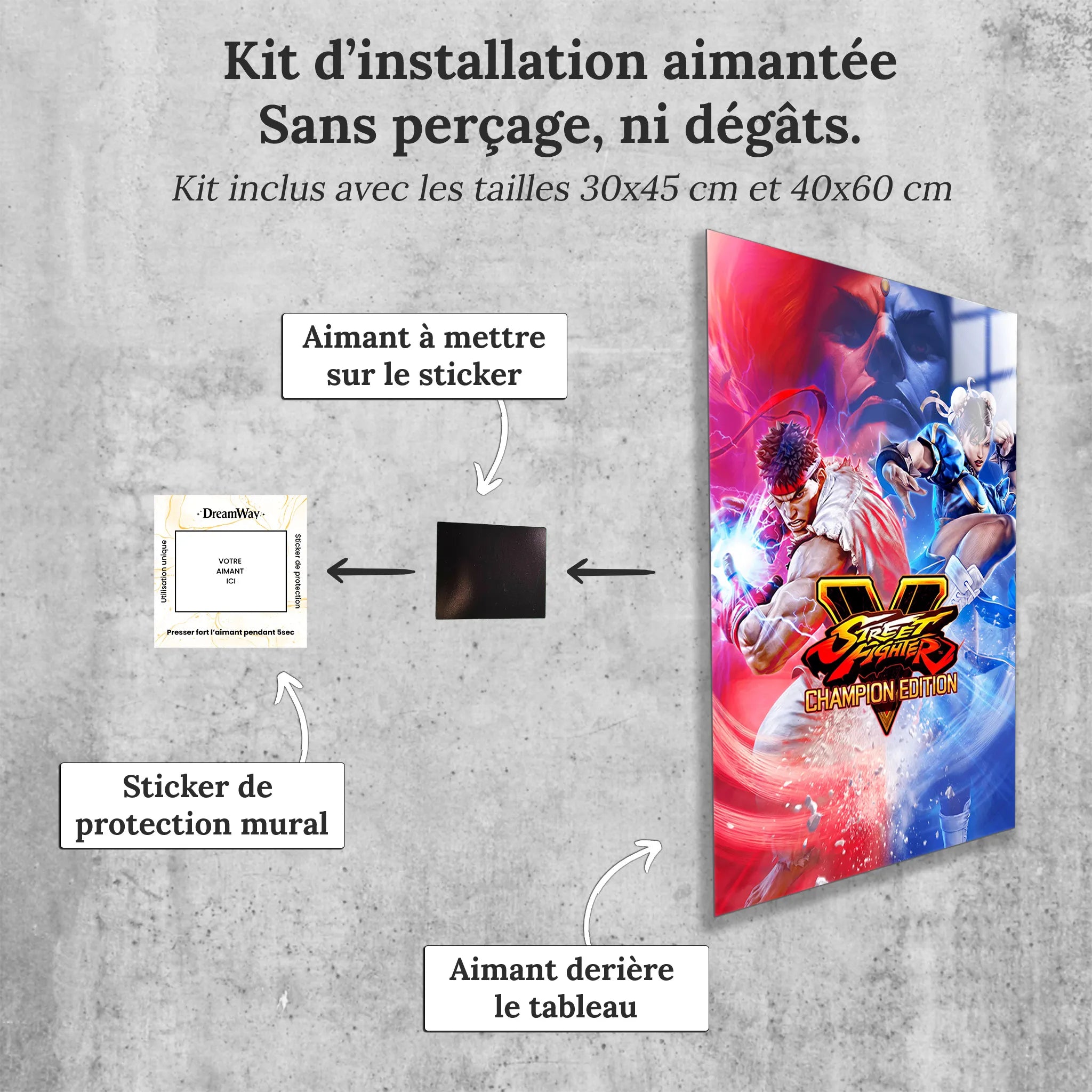 Tableau Street Fighter Affiche V Champion Edition