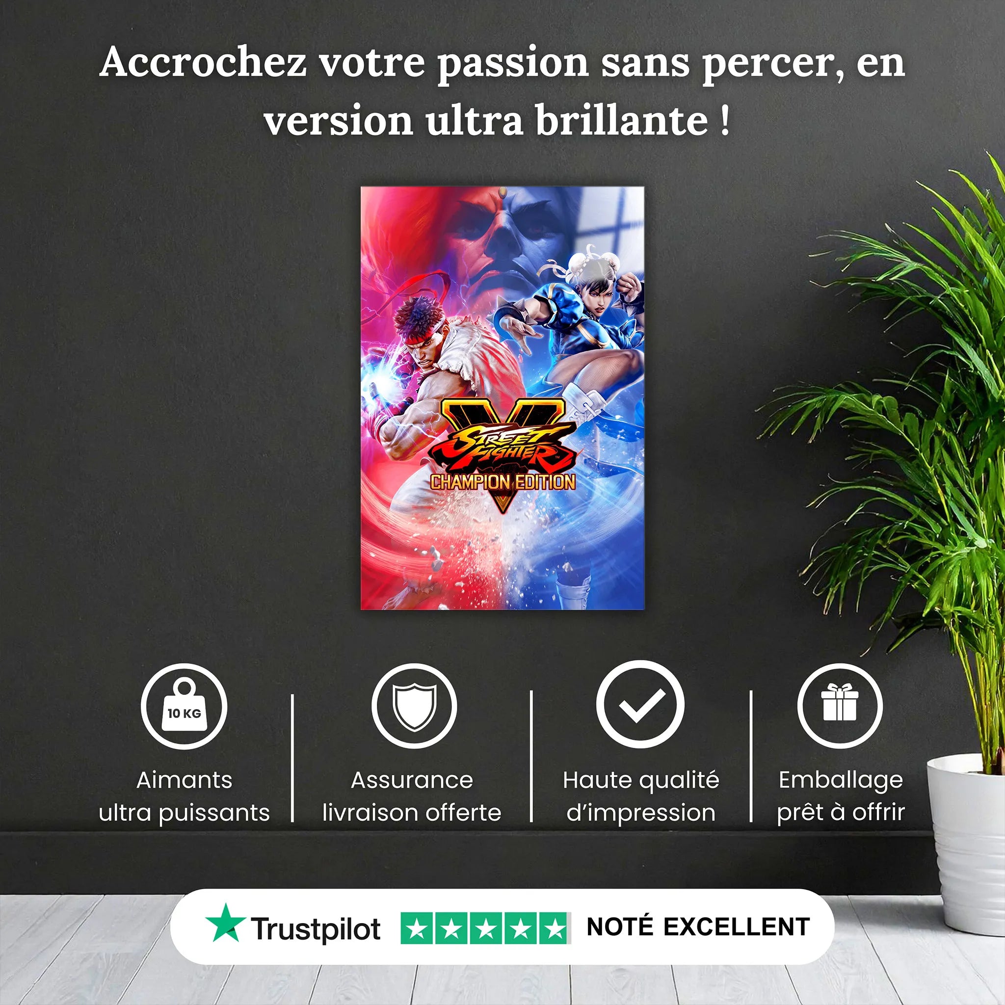 Tableau Street Fighter Affiche V Champion Edition