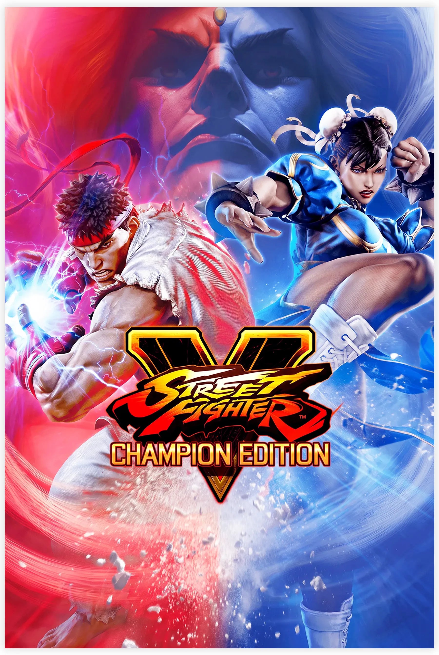 Tableau Street Fighter Affiche V Champion Edition