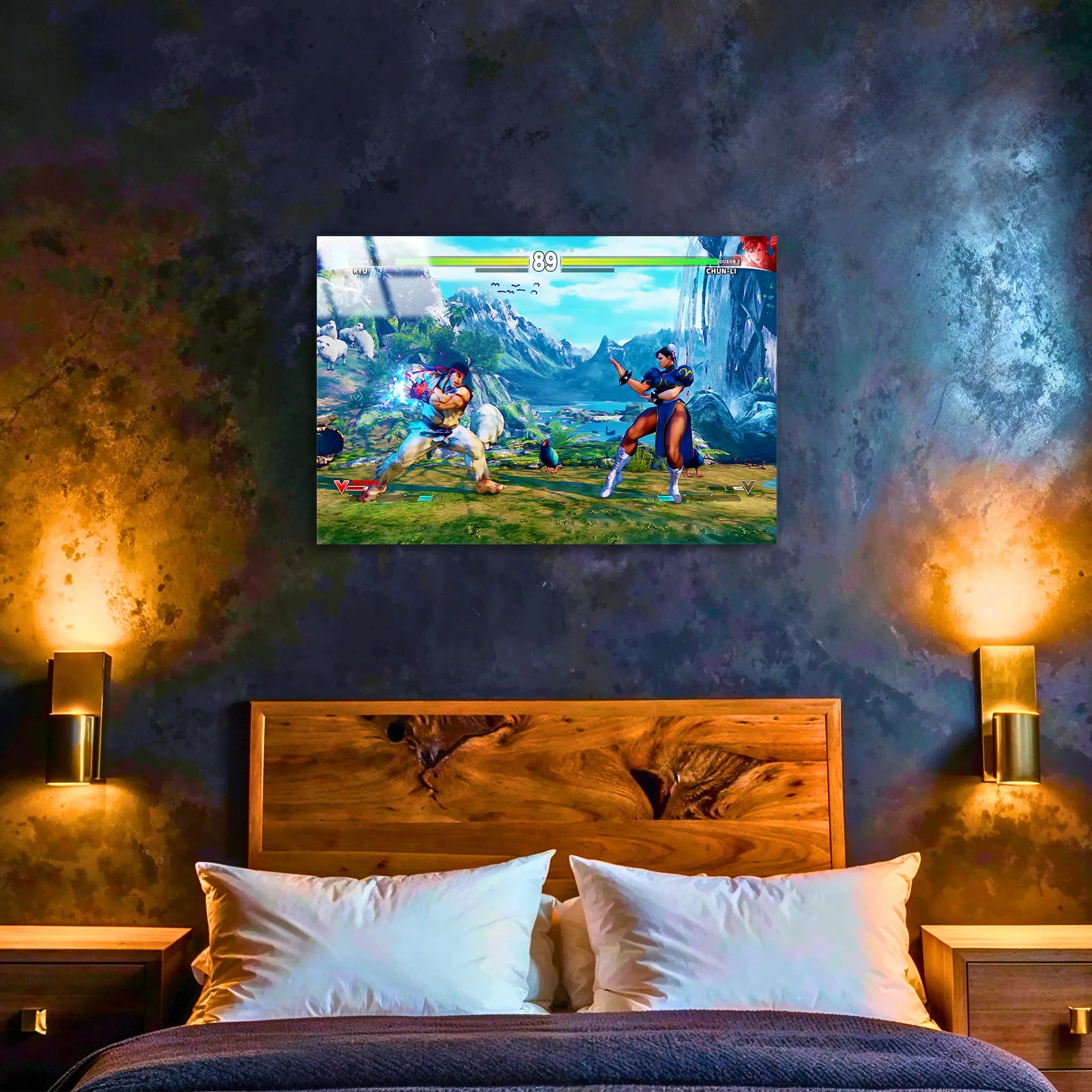 Tableau Street Fighter Affiche Combat