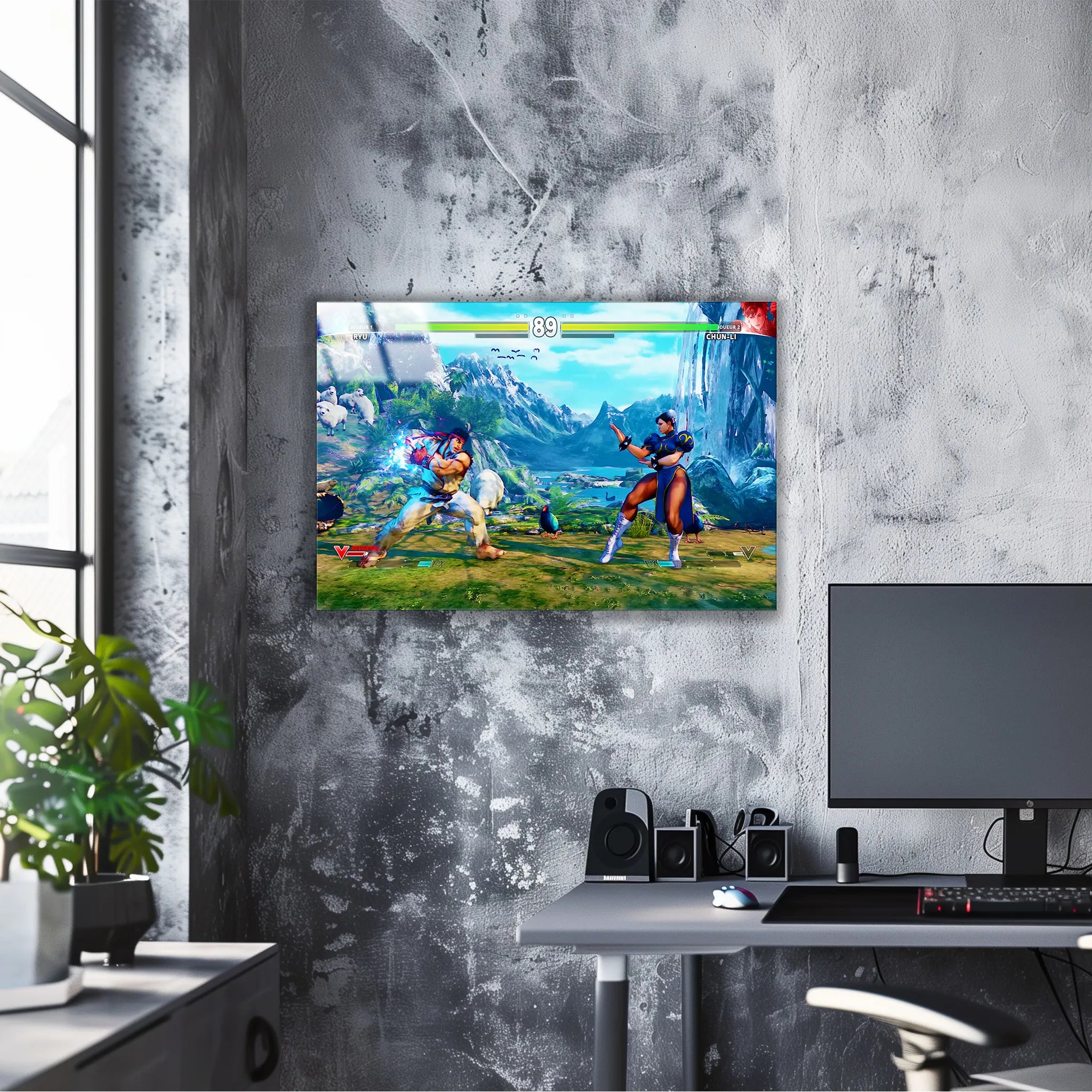 Tableau Street Fighter Affiche Combat