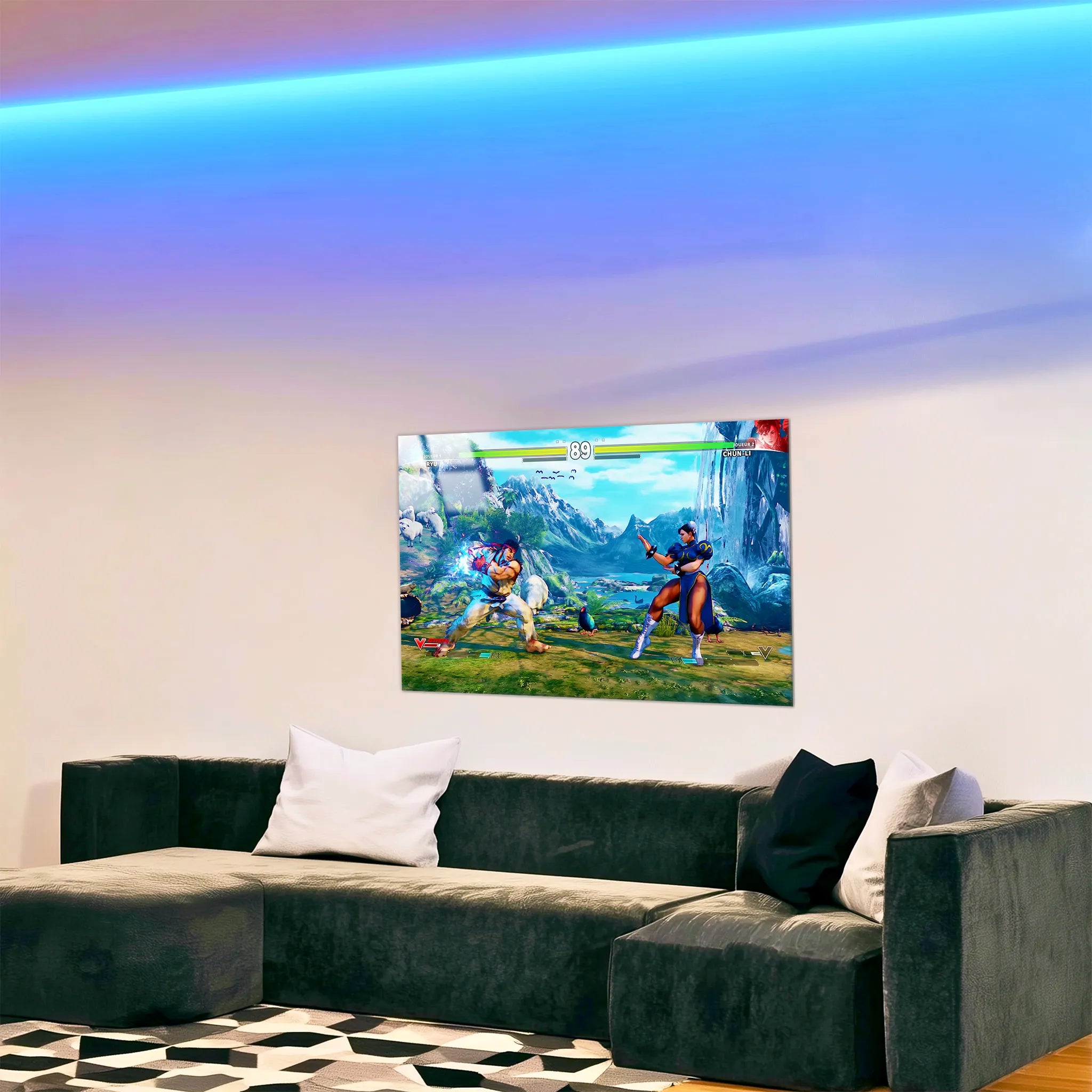 Tableau Street Fighter Affiche Combat