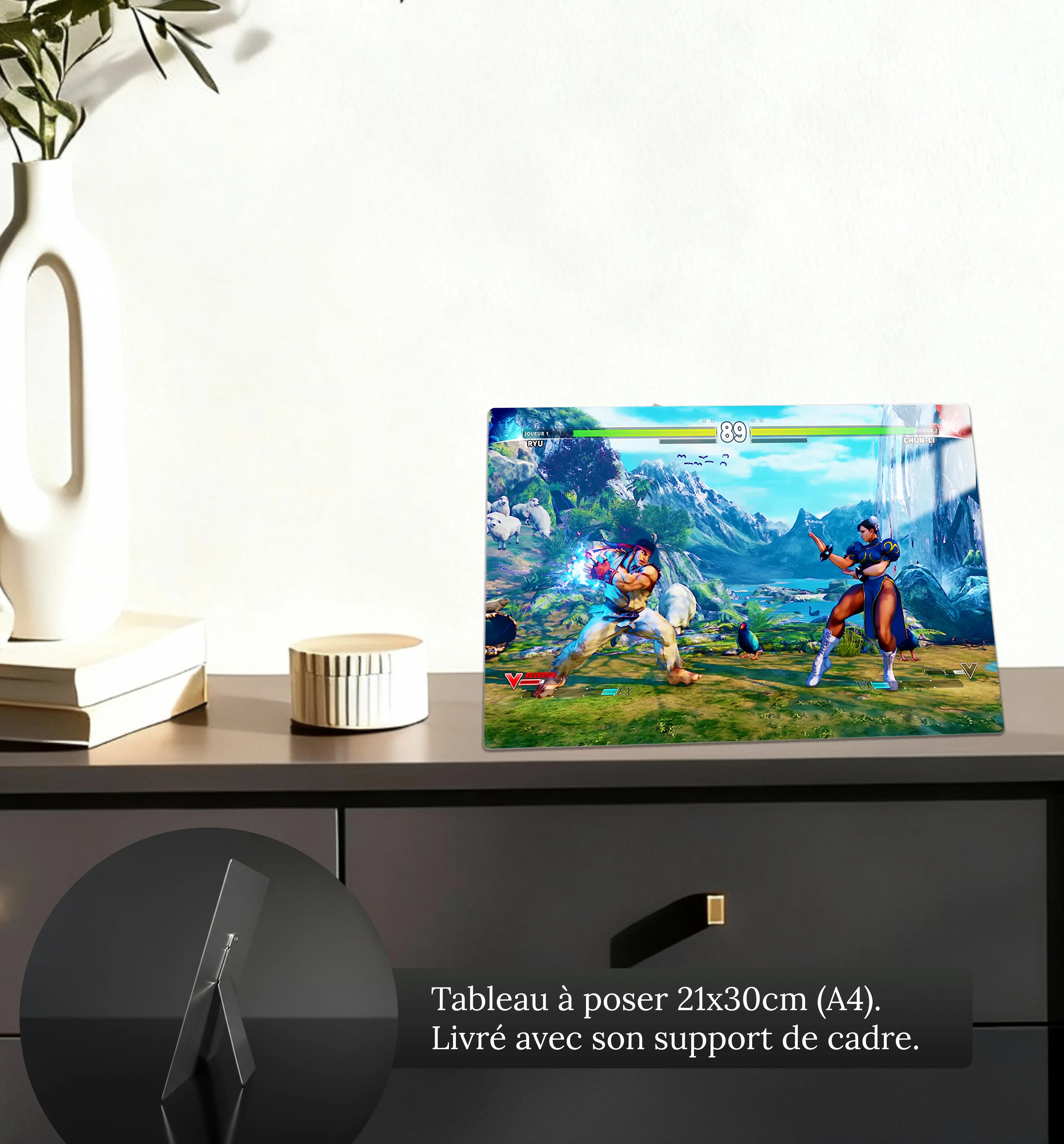 Tableau Street Fighter Affiche Combat