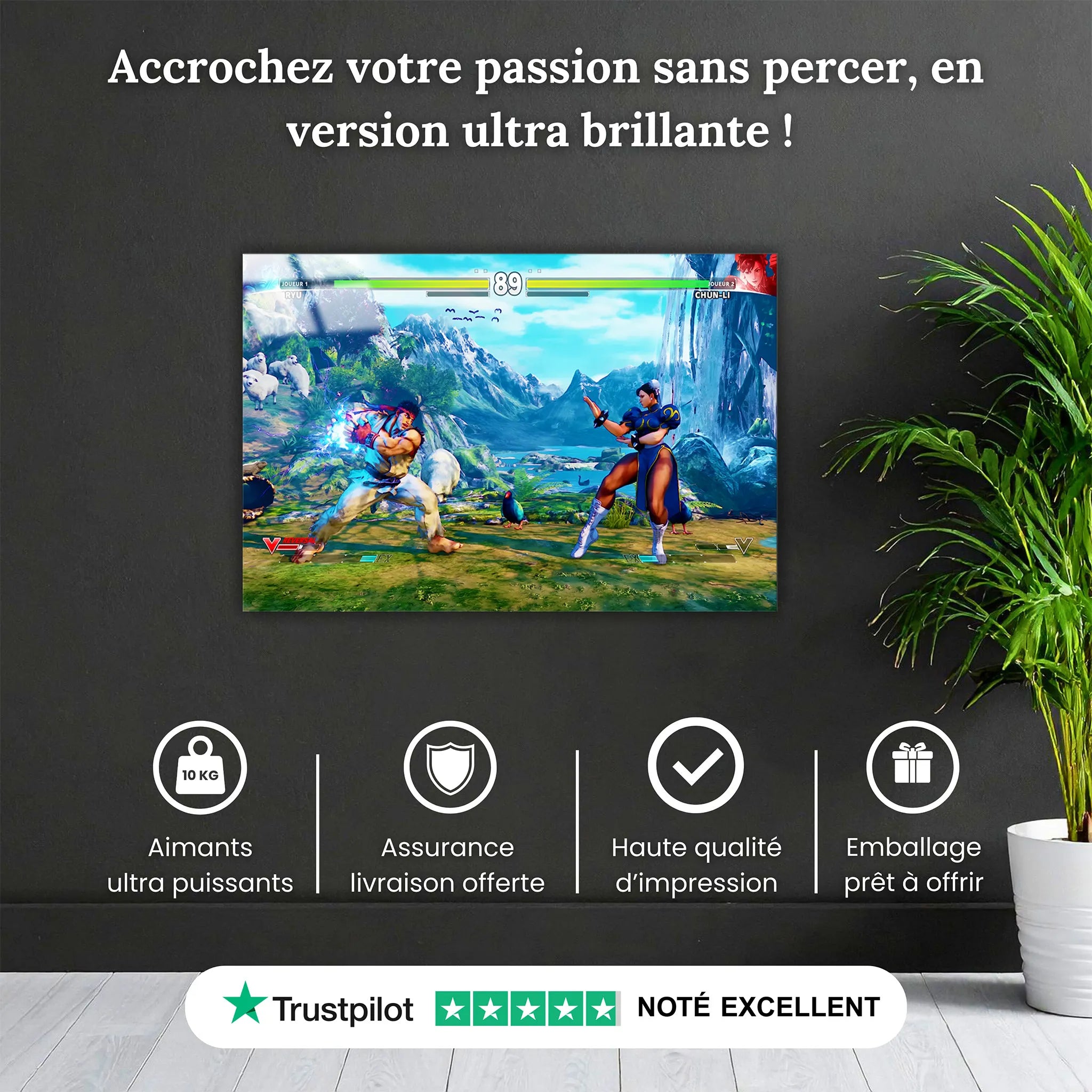 Tableau Street Fighter Affiche Combat