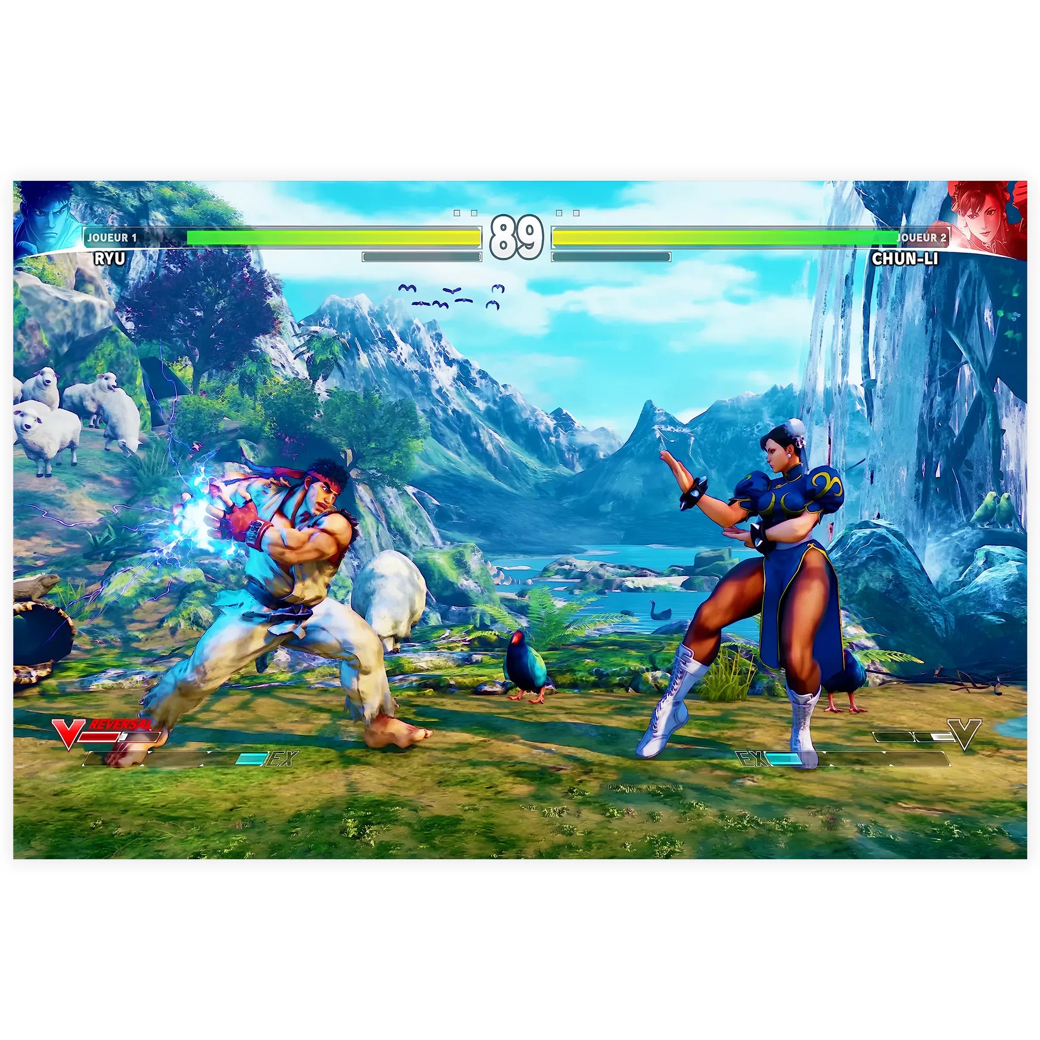 Tableau Street Fighter Affiche Combat