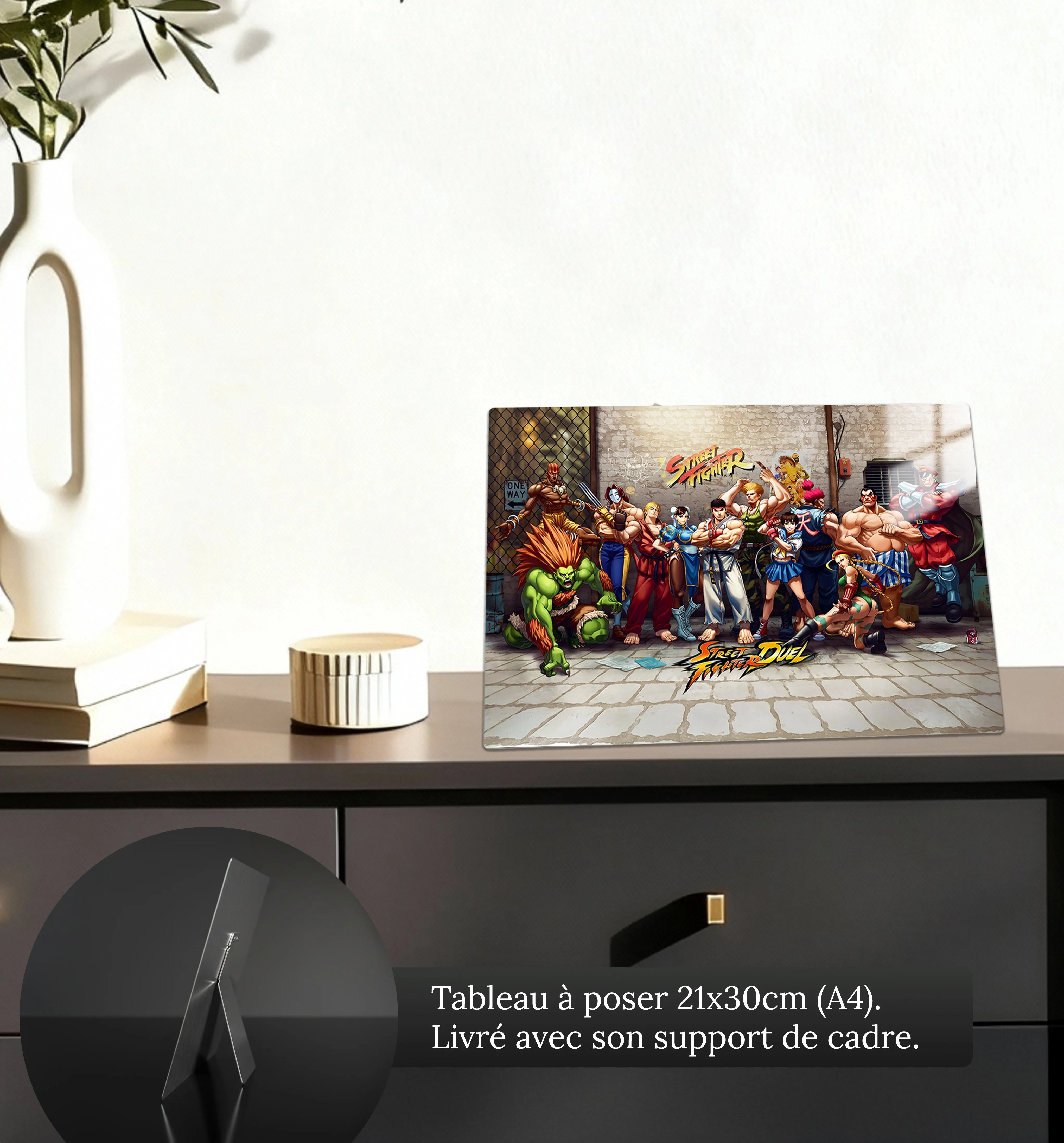 Tableau Street Fighter Les Héros