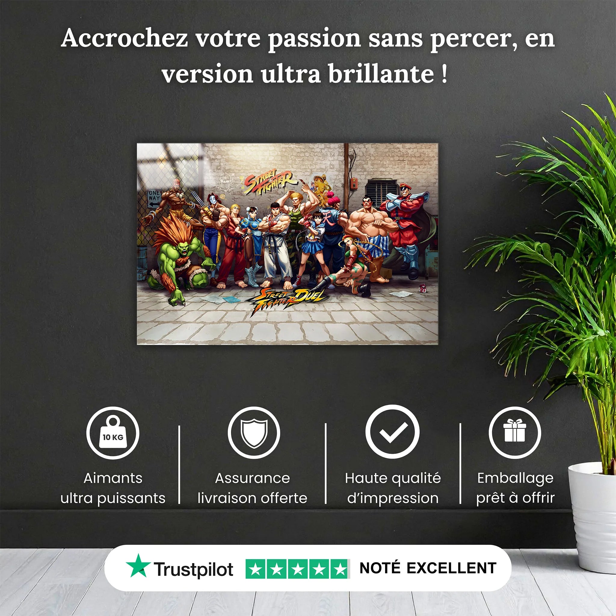 Tableau Street Fighter Les Héros